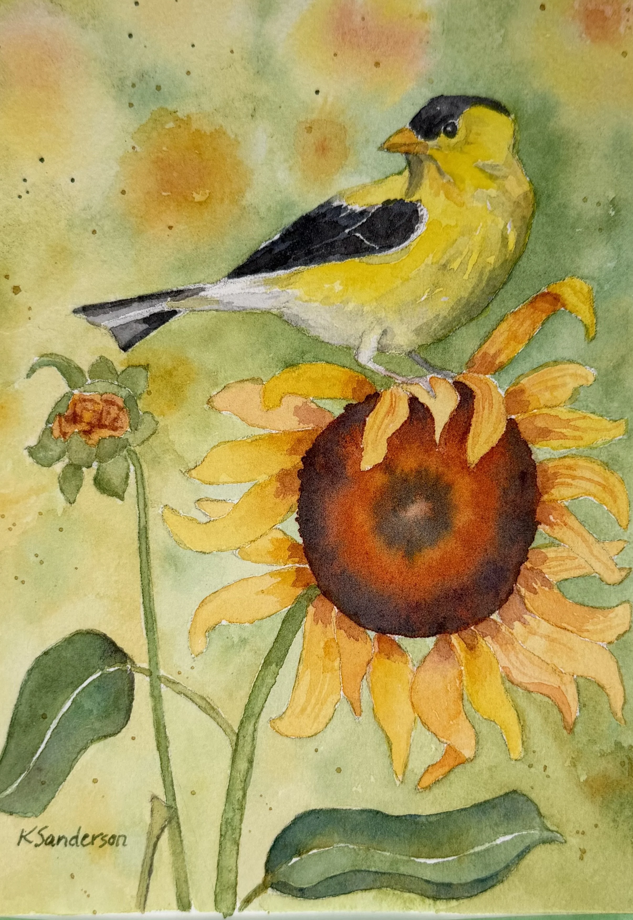 Goldfinch 2026