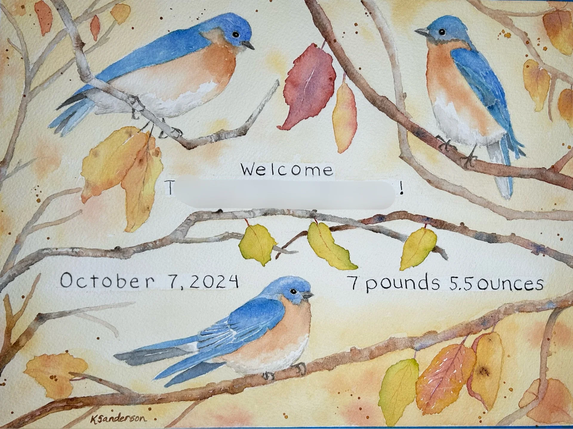 Eastern Bluebirds (sold)
