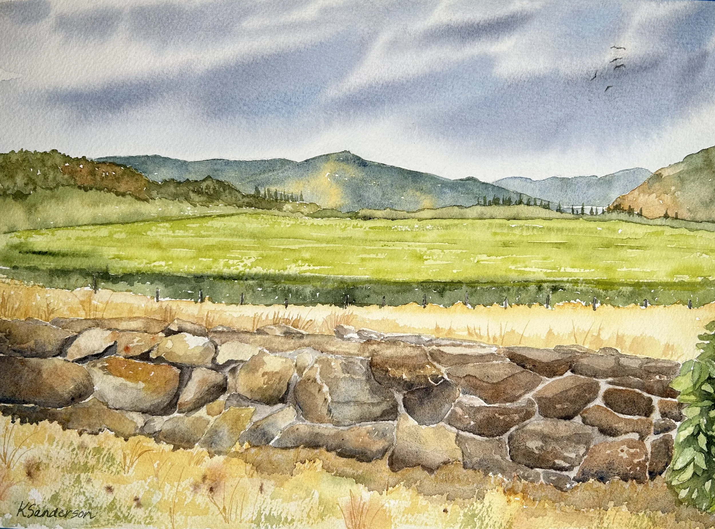 Mosier Vineyard and Rock Wall 2024