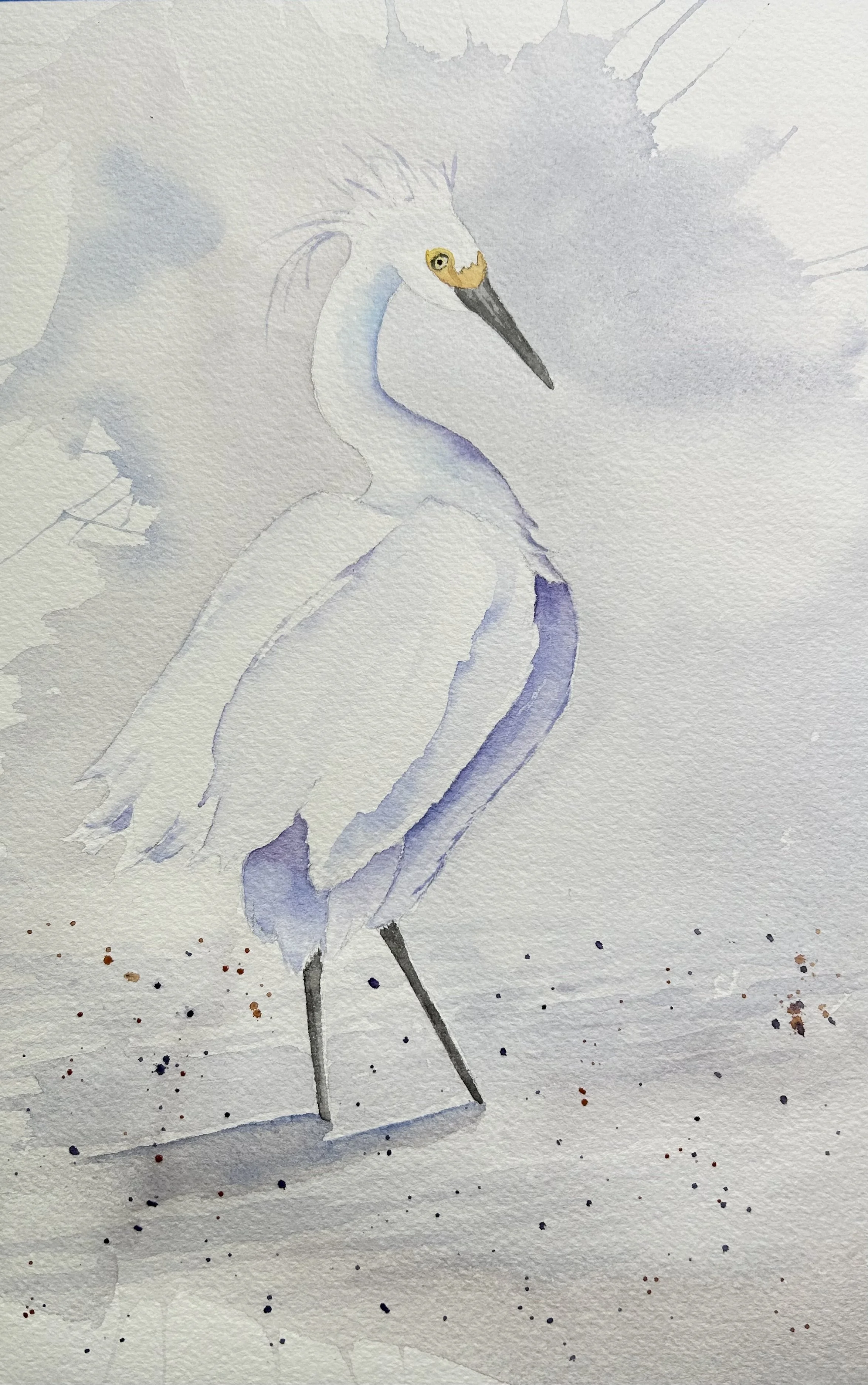 Snowy Egret 2022