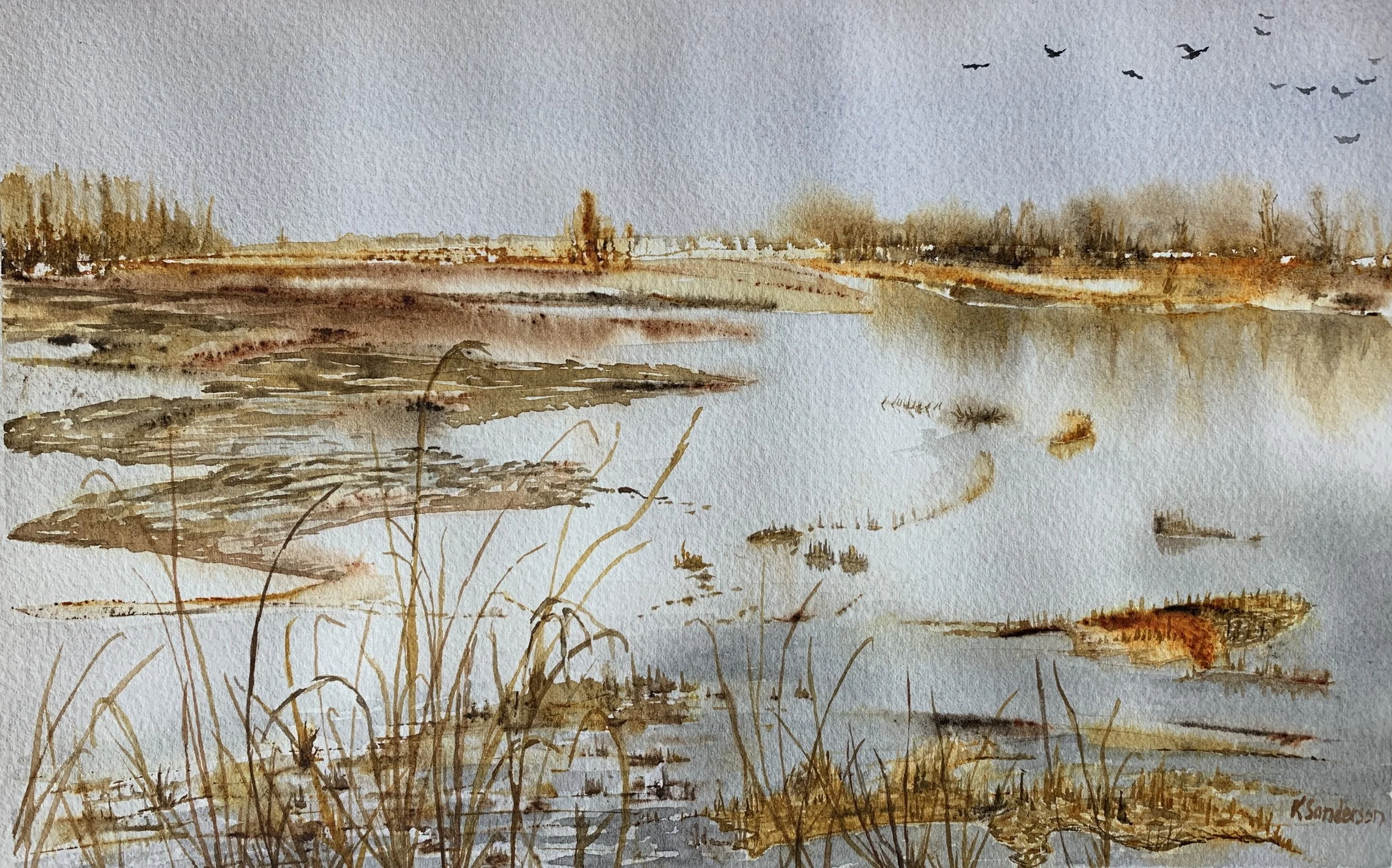 California Refuge 2021 (NFS)