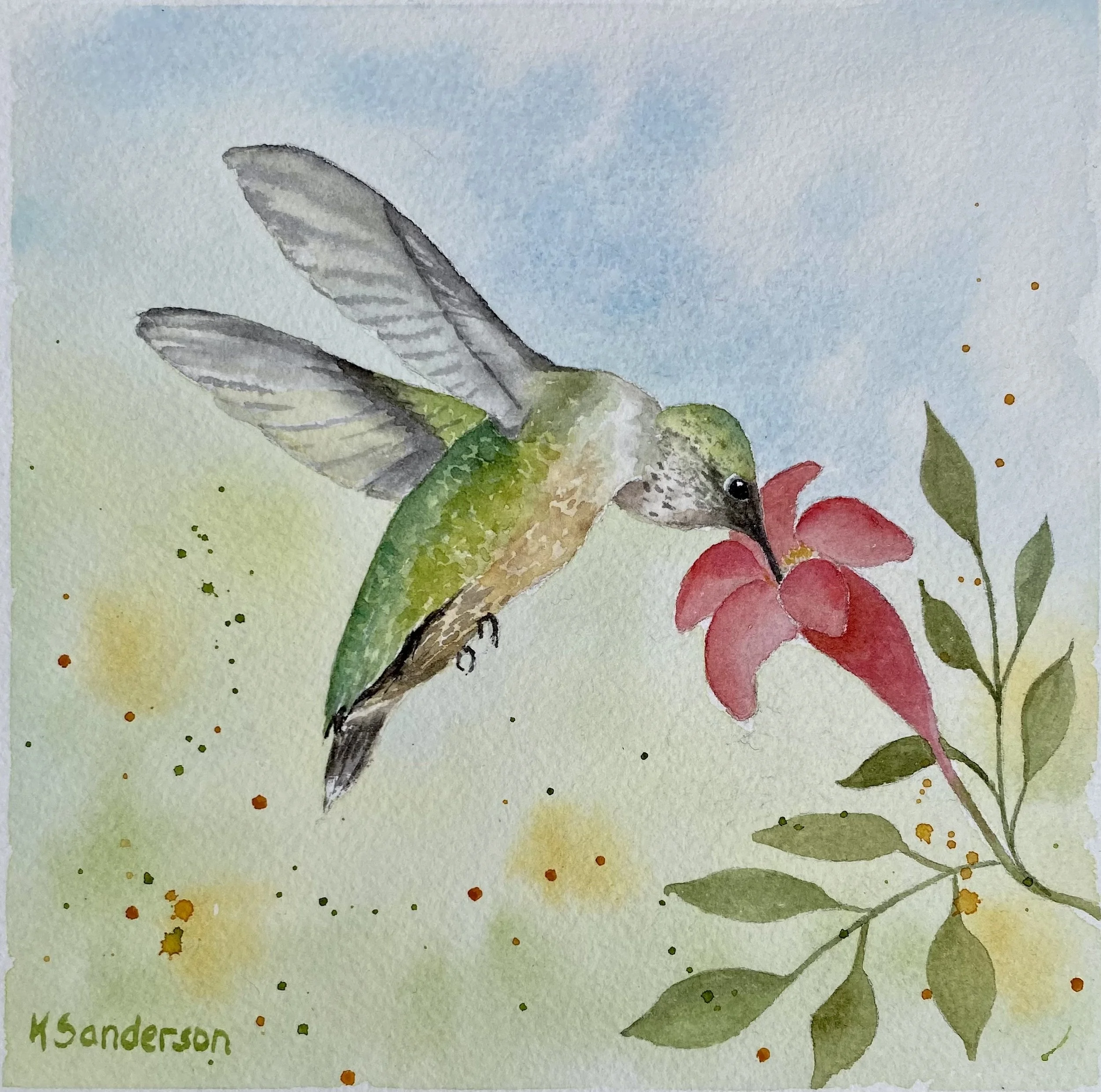 Anna's Hummingbird 2023