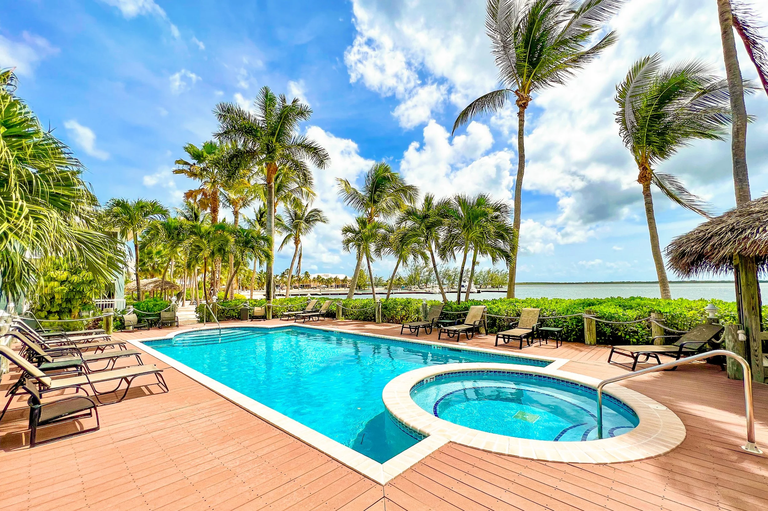  The pool and the spa  