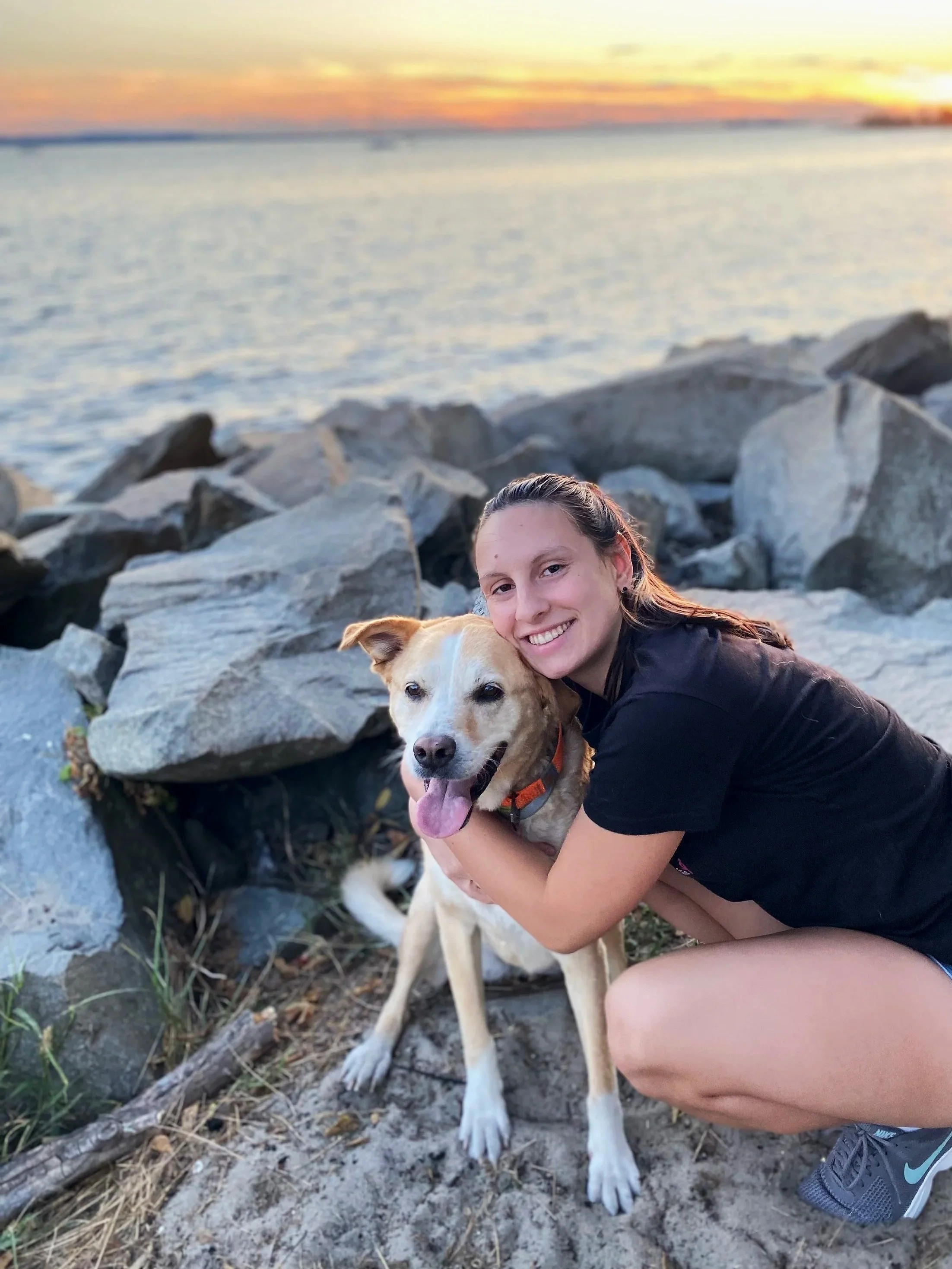 A woman hugging a happy yellow and white dog on a rocky beach during sunset.