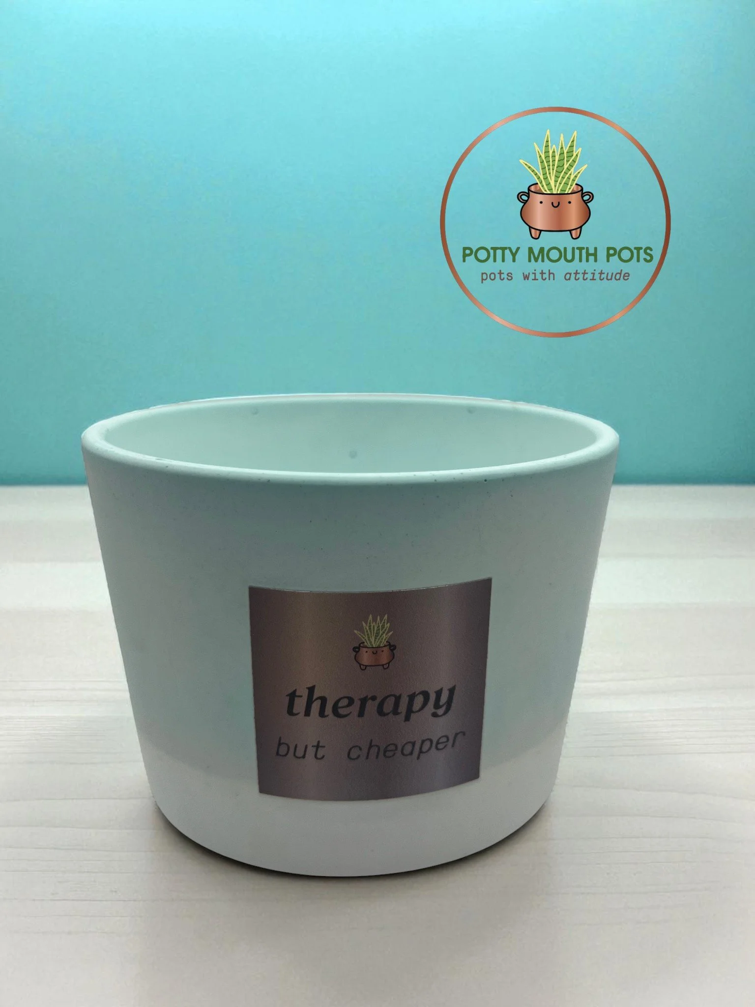 Large plant pot - Therapy but cheaper