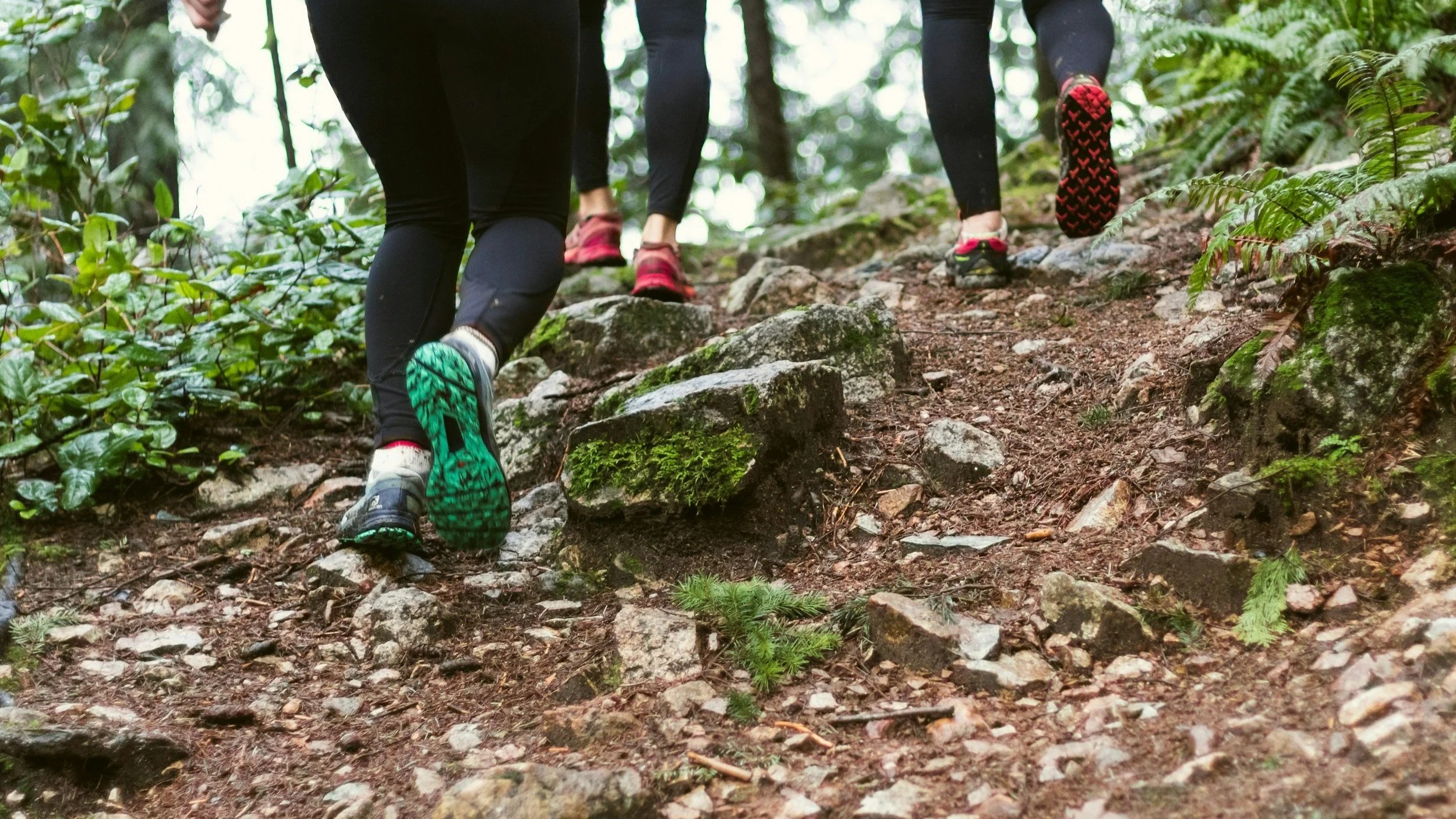 Trip of three people hiking up a rocky trail in a forest, shown from behind.