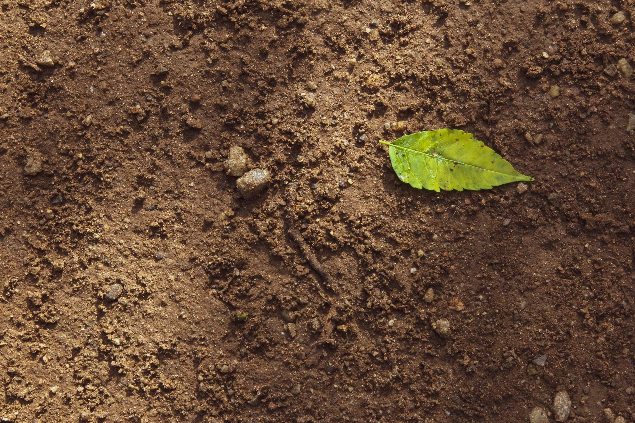 A close-up image of brown soil with a single green leaf lying on the ground.
