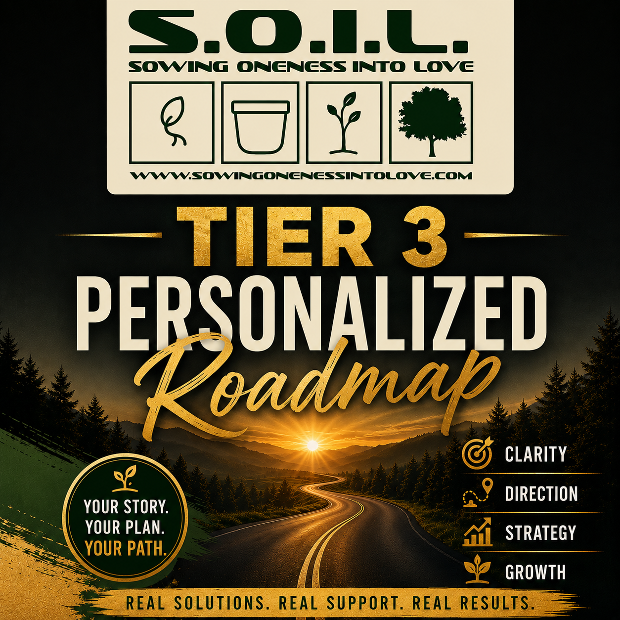 Tier 3 Personalized Roadmap