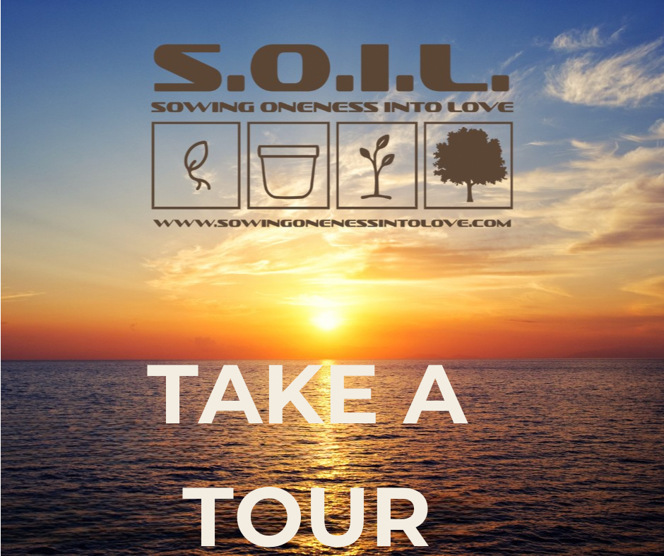 TOUR 1 - 1.png