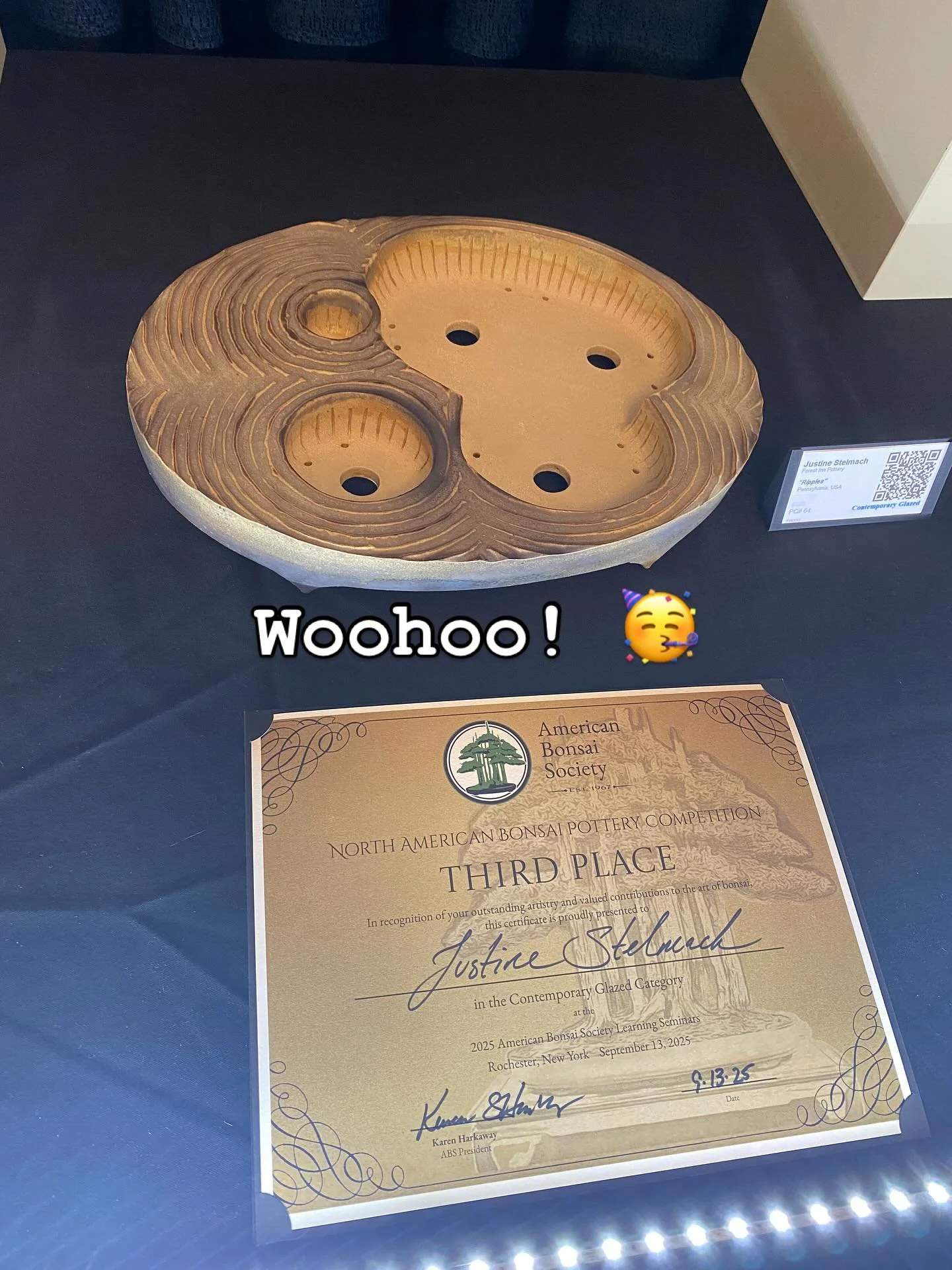 @americanbonsaisociety Pottery competition!