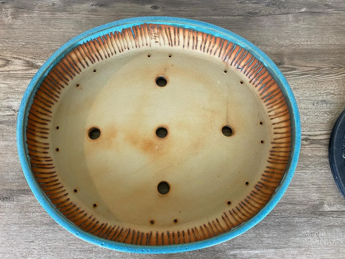 I found out making lines inside a pot can help prevent roots from winding around the outside , so I also started adding little messages to the trees in there. 😊