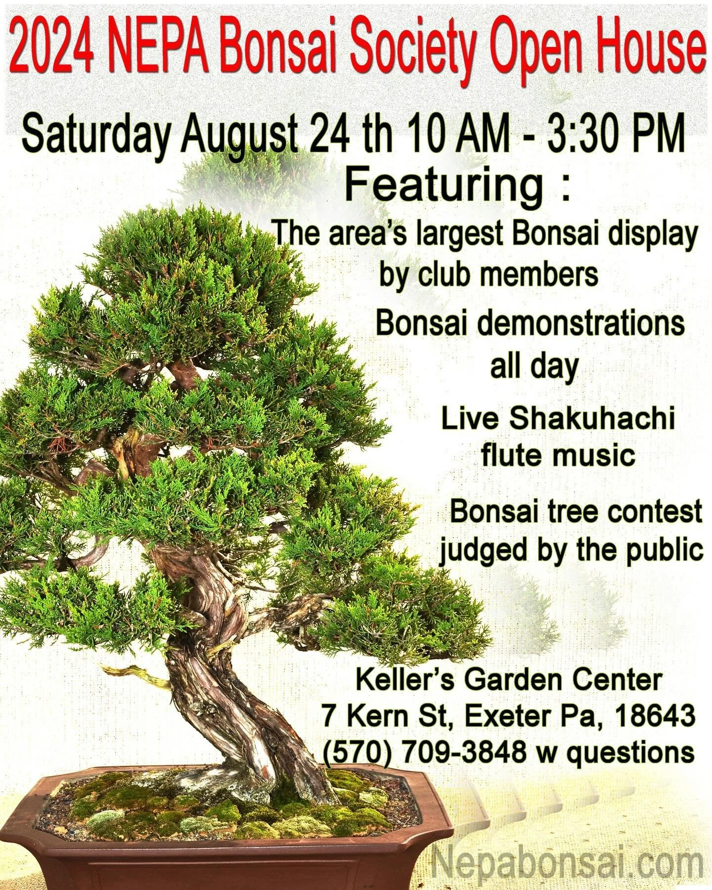 NEPA Bonsai open house is coming up! Always a fun time!