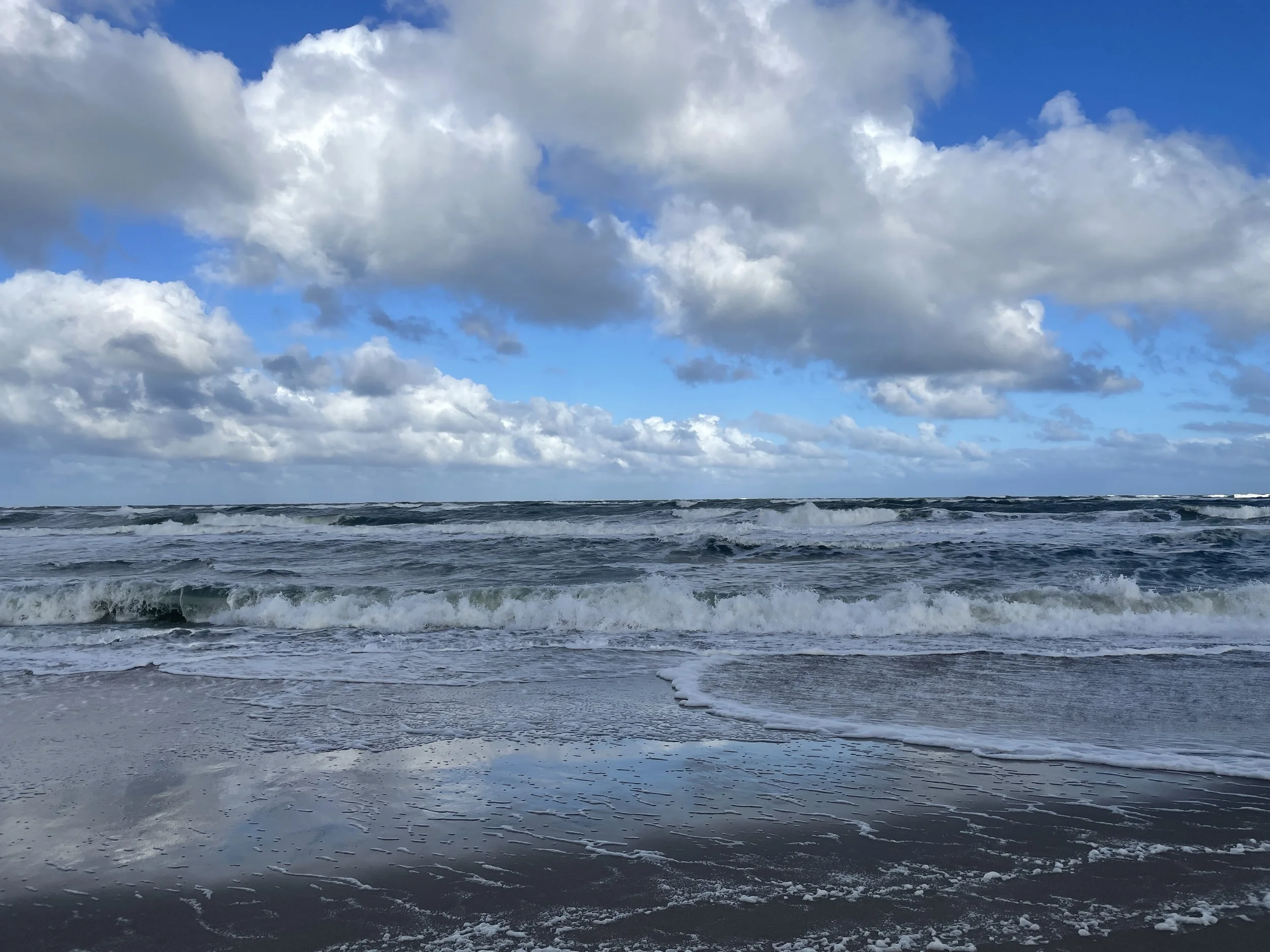 Nordsøens brusen 