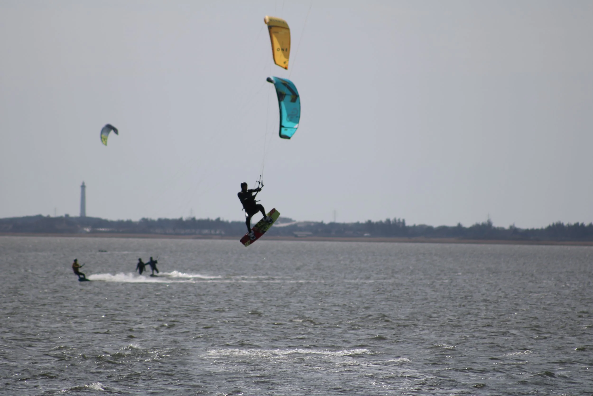 Flyvefisk i leg 