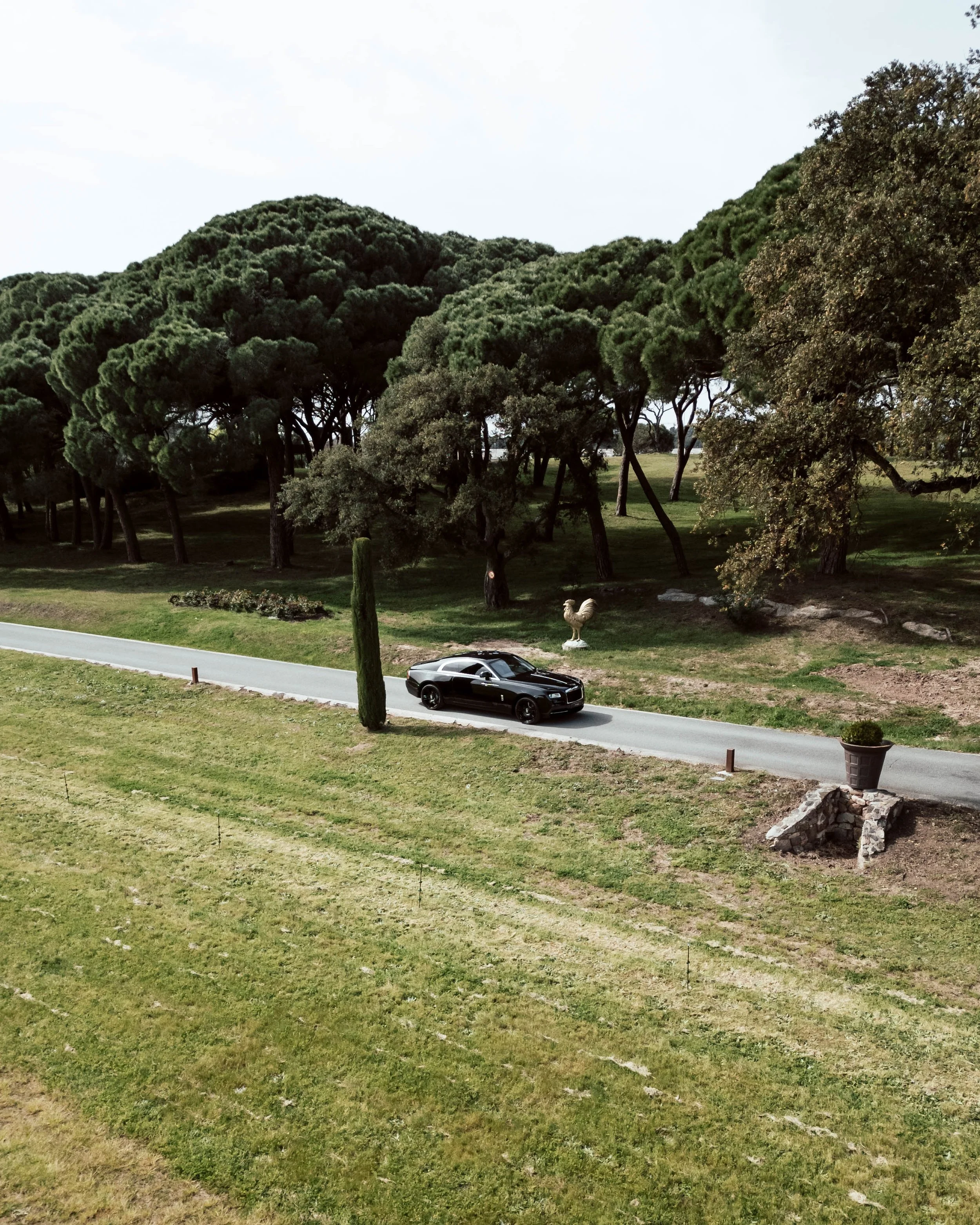 DJI_0219.jpg