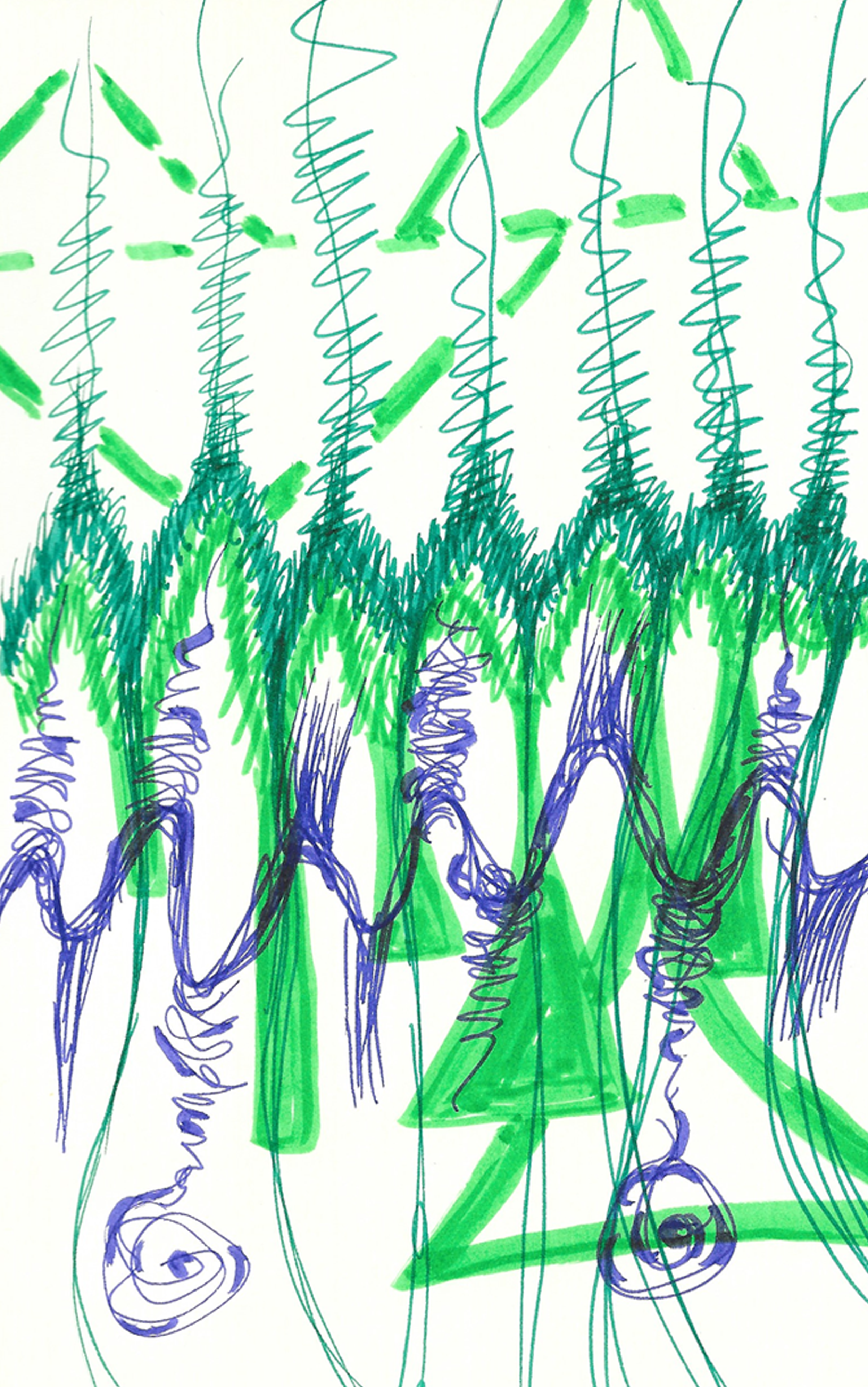 53_Crop2500.png