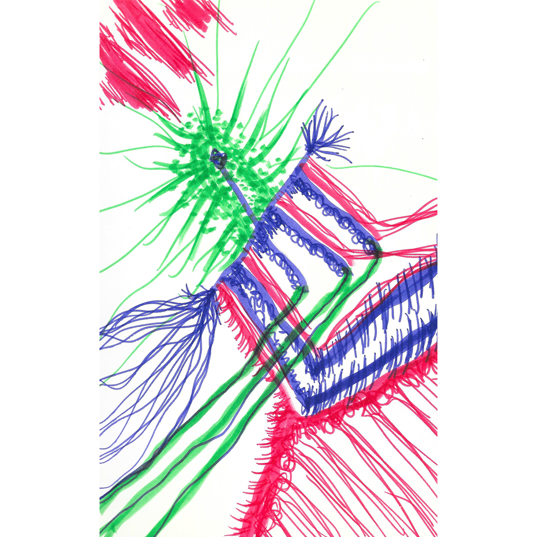 86_Crop.png