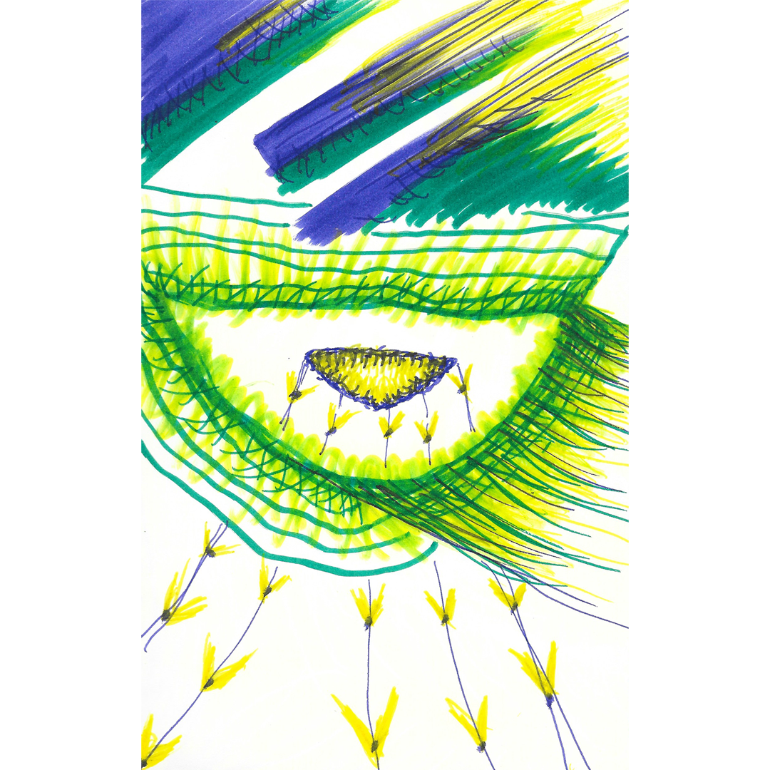 81_Crop.png