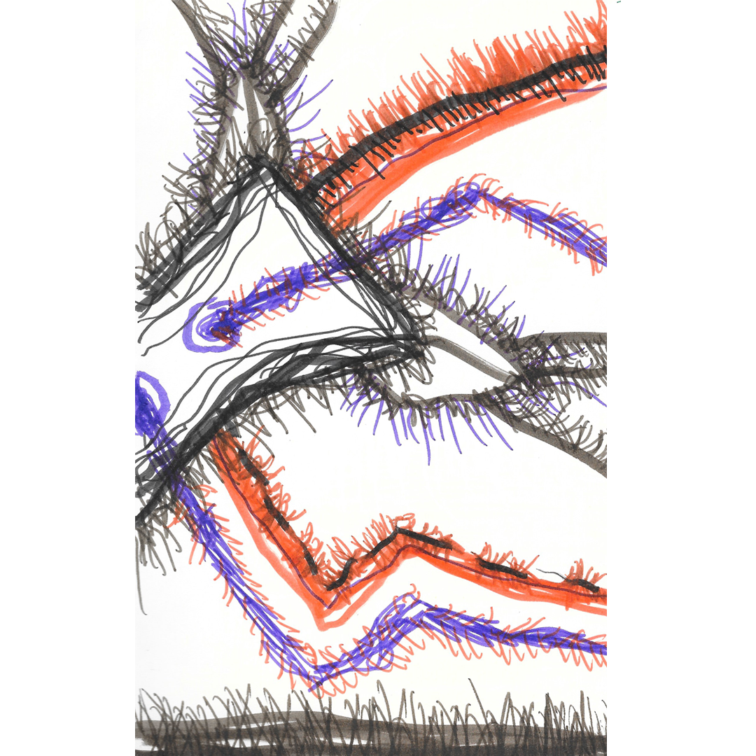 80_Crop.png