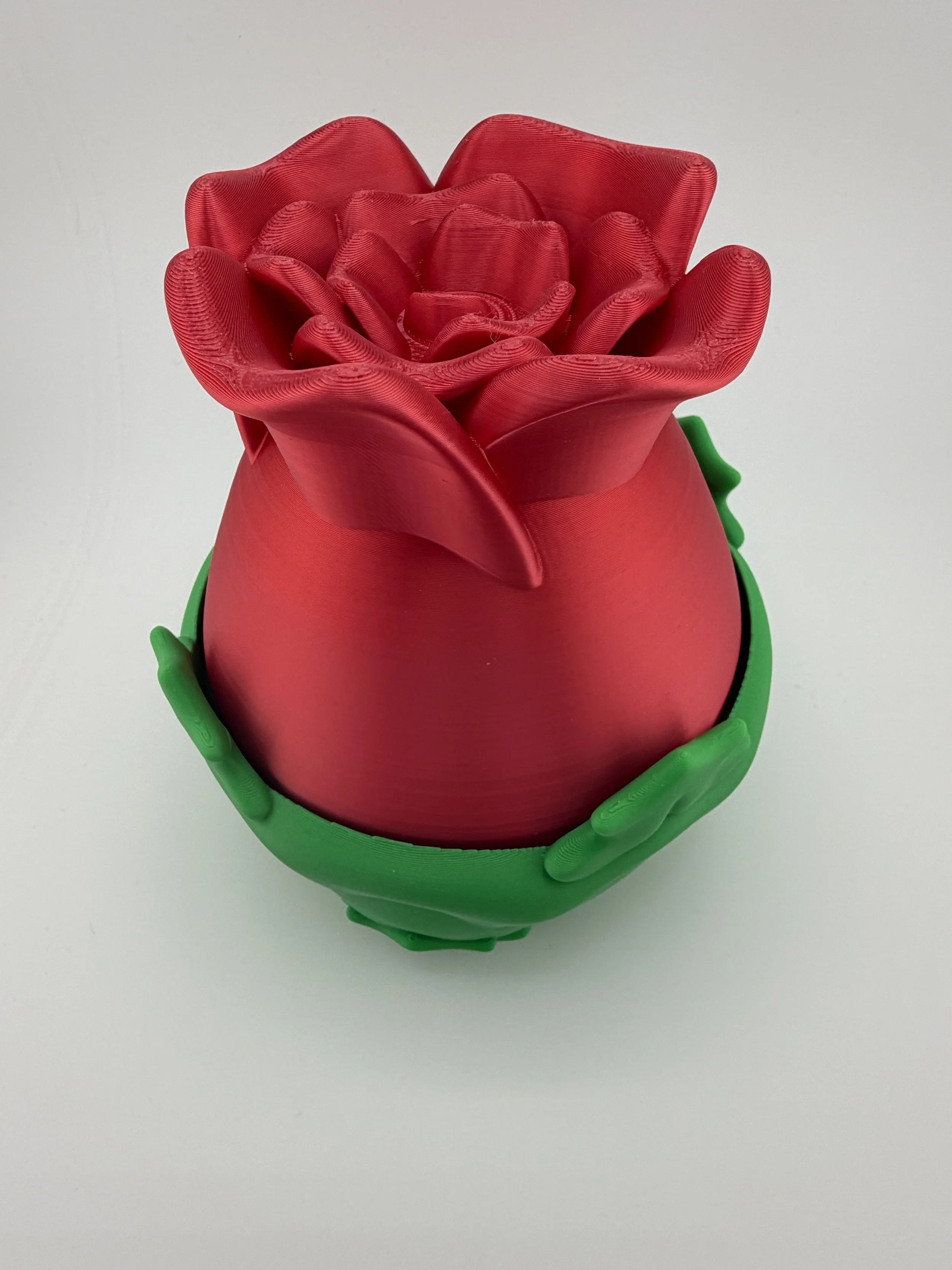 Surprise Rose with Dragon-6.JPG