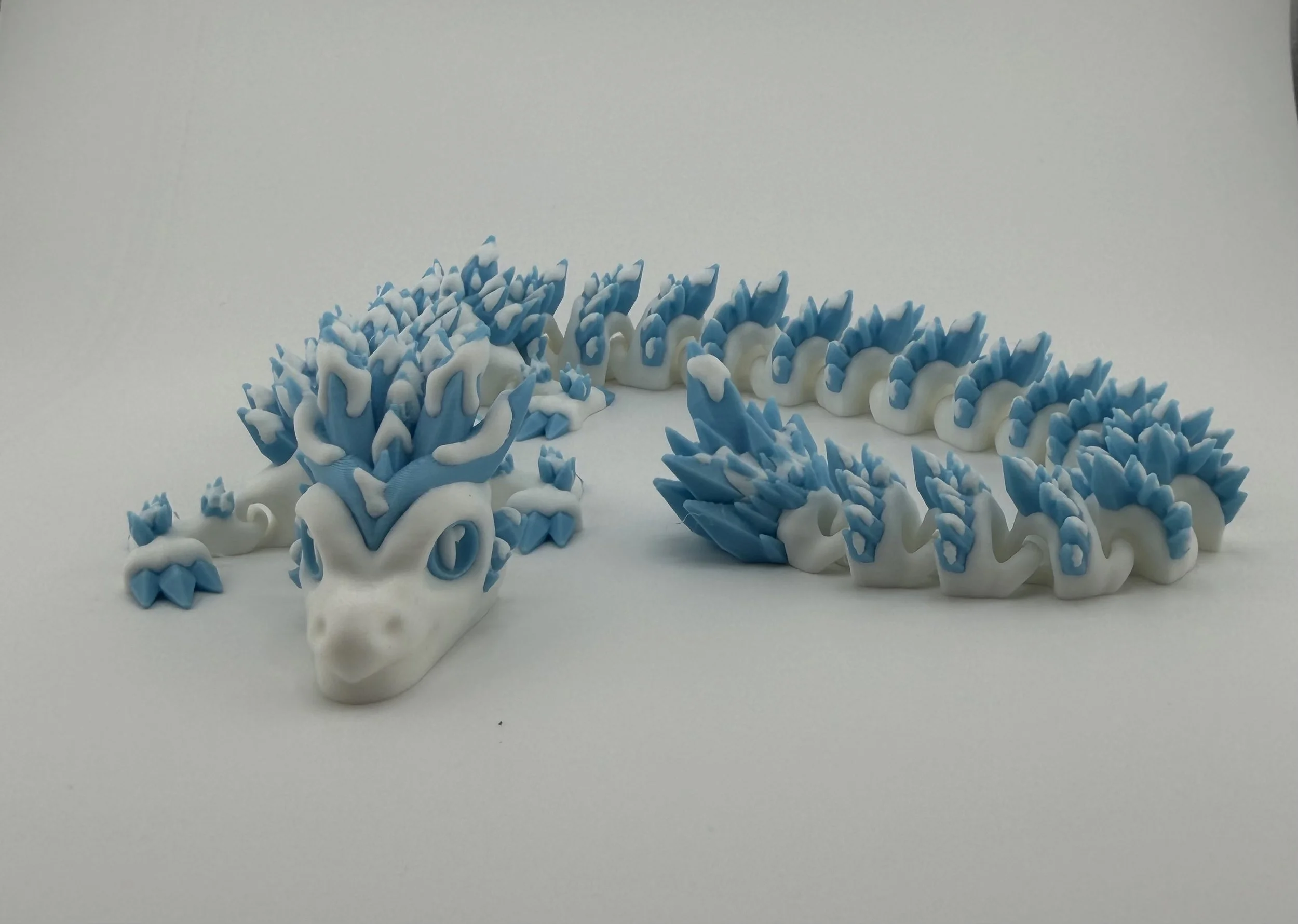 Snowy Dragon-18-1.jpg