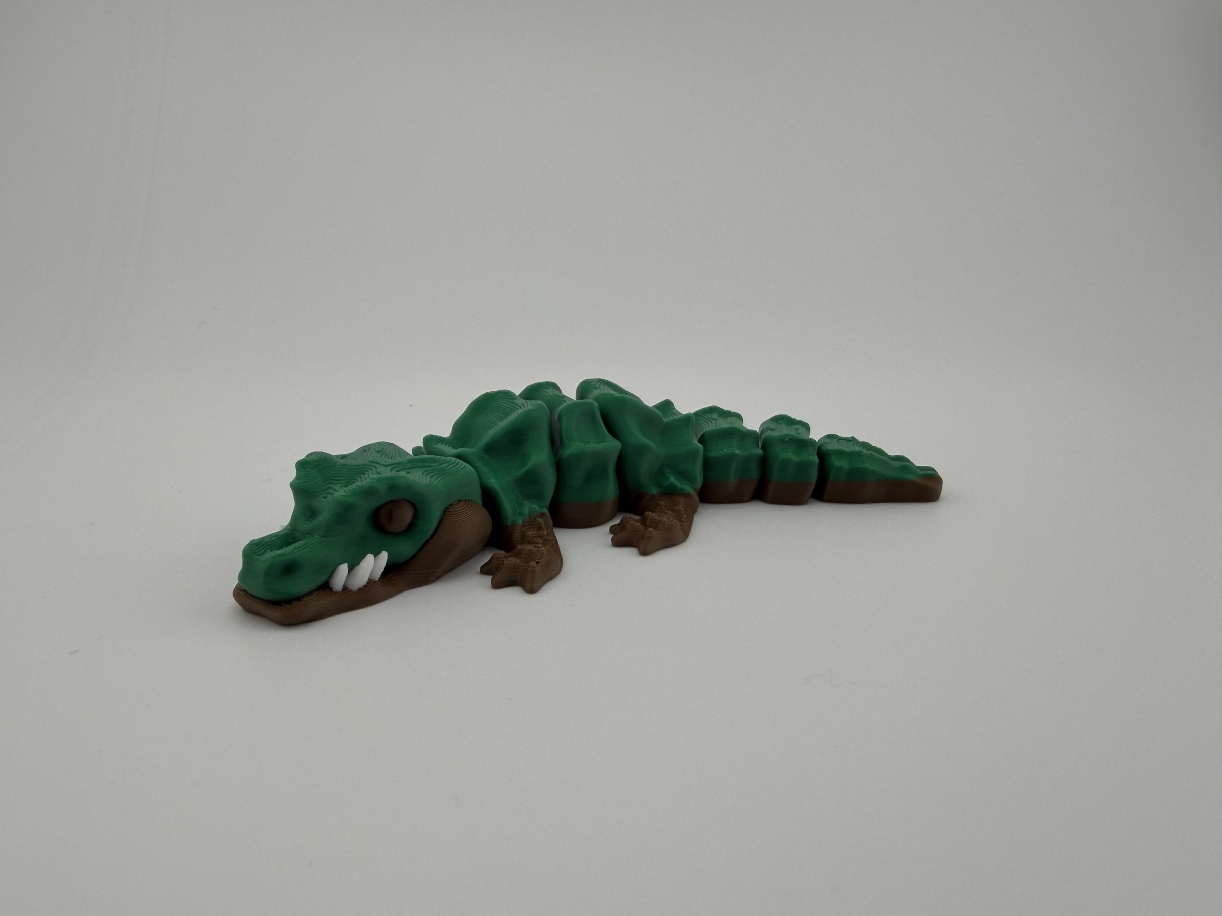 Alligator-Baby Alligator-2.jpg