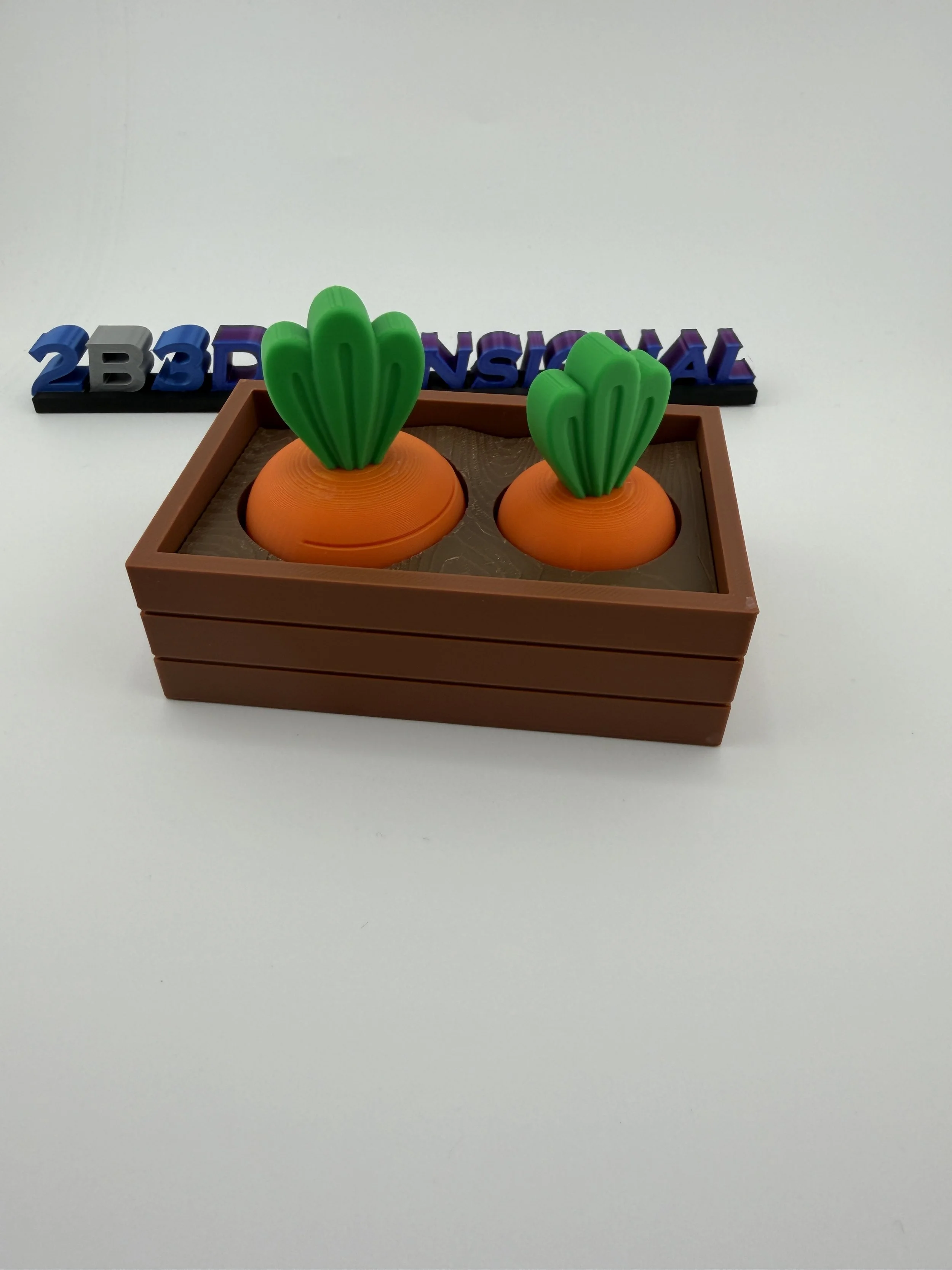 Carrot Garden Fidget-9.JPG