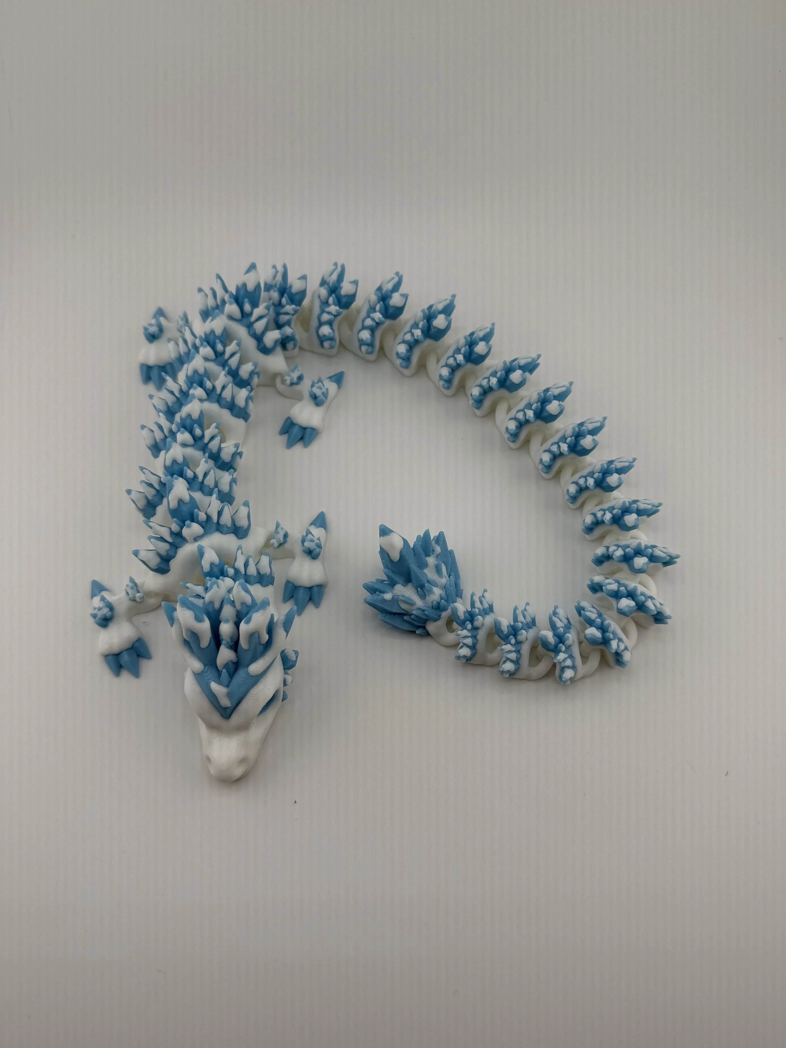 Snowy Dragon-18-3.jpg