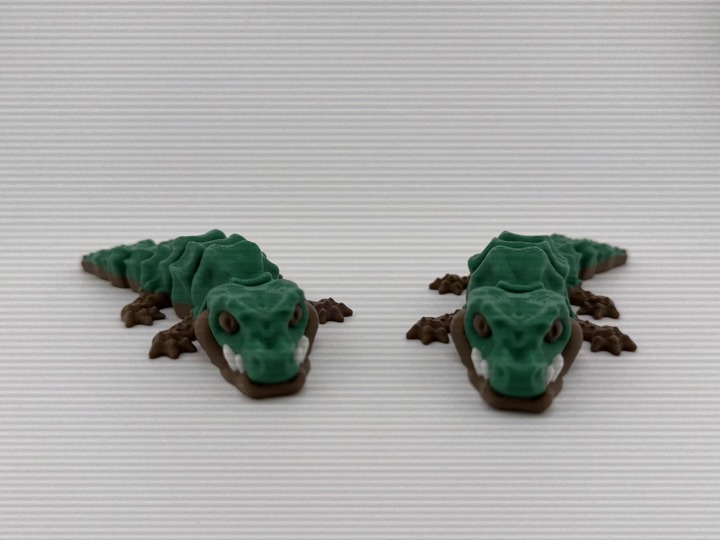 Alligator-Baby Alligator-4.jpg