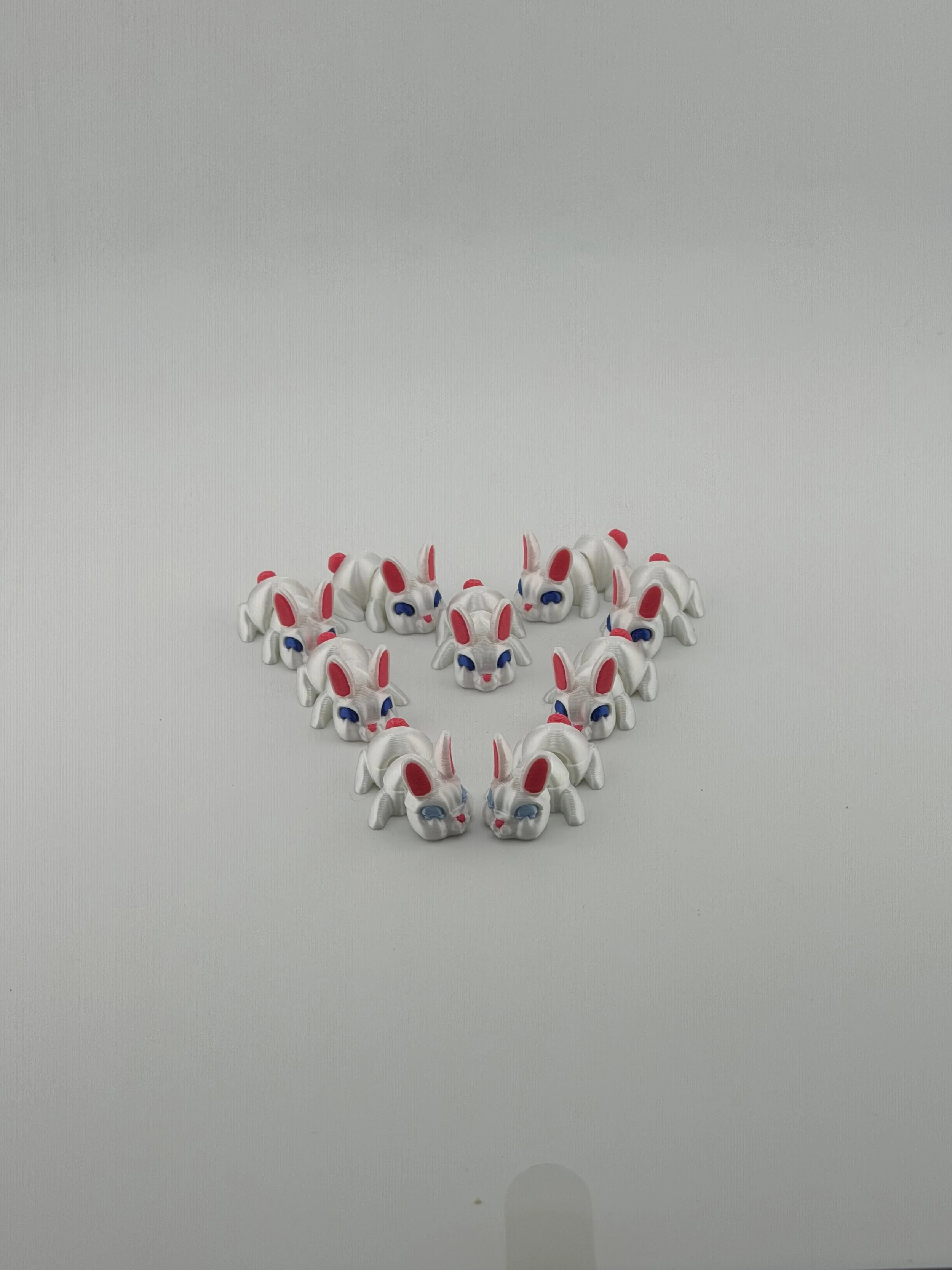 Mini rabbits or mini bunnys-2.jpg