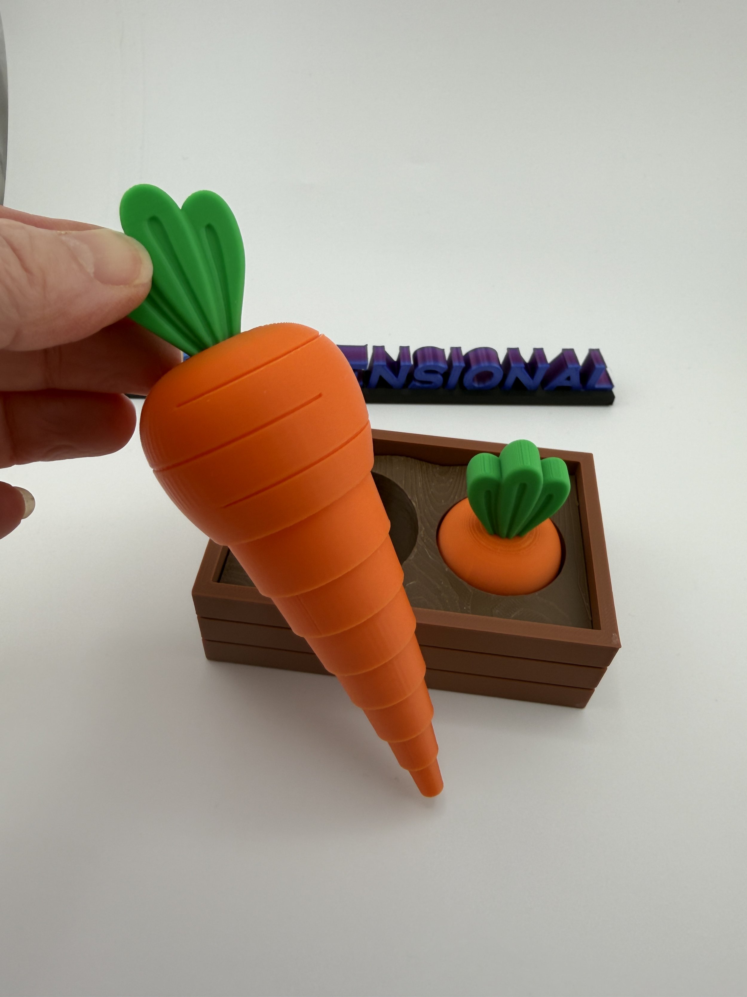 Carrot Garden Fidget-4.JPG