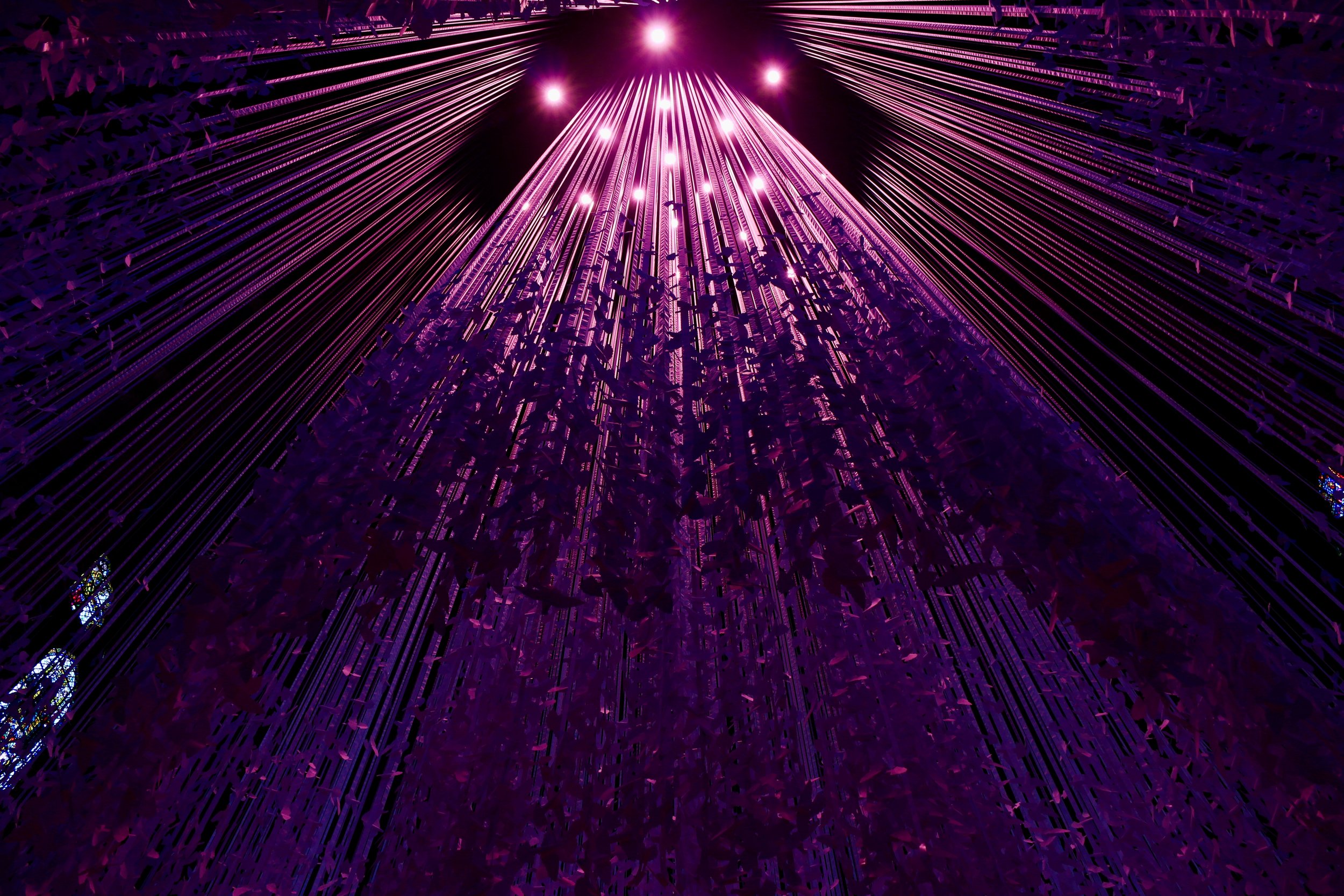 Peace Doves (2021). Anglican cathedral, Liverpool, UK 