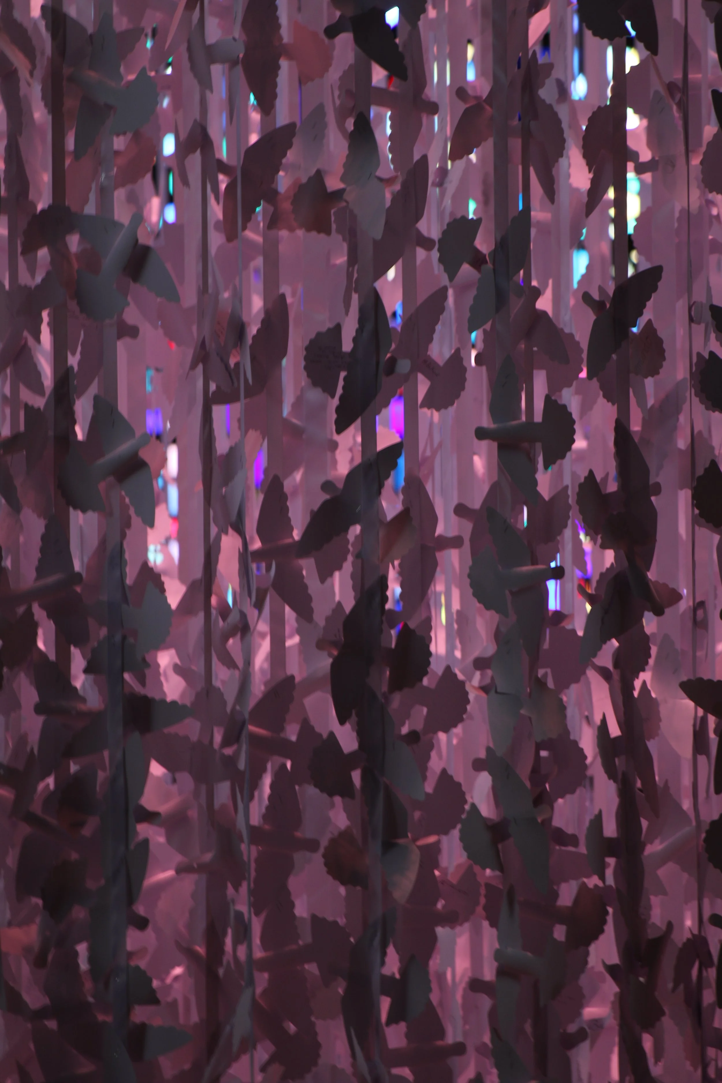 Peace Doves (2021). Anglican cathedral, Liverpool, UK 