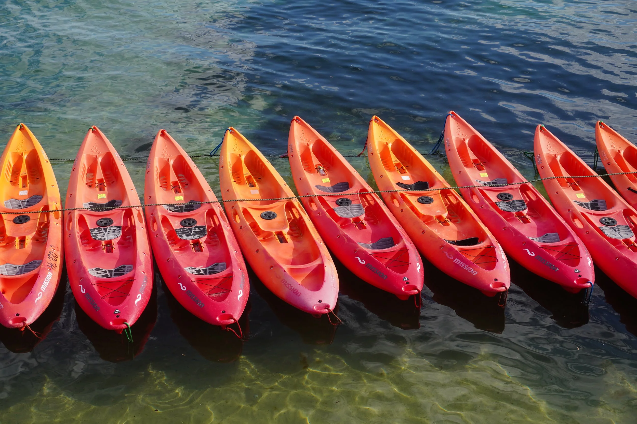 L&amp;L Archives: Sydney, Day 6