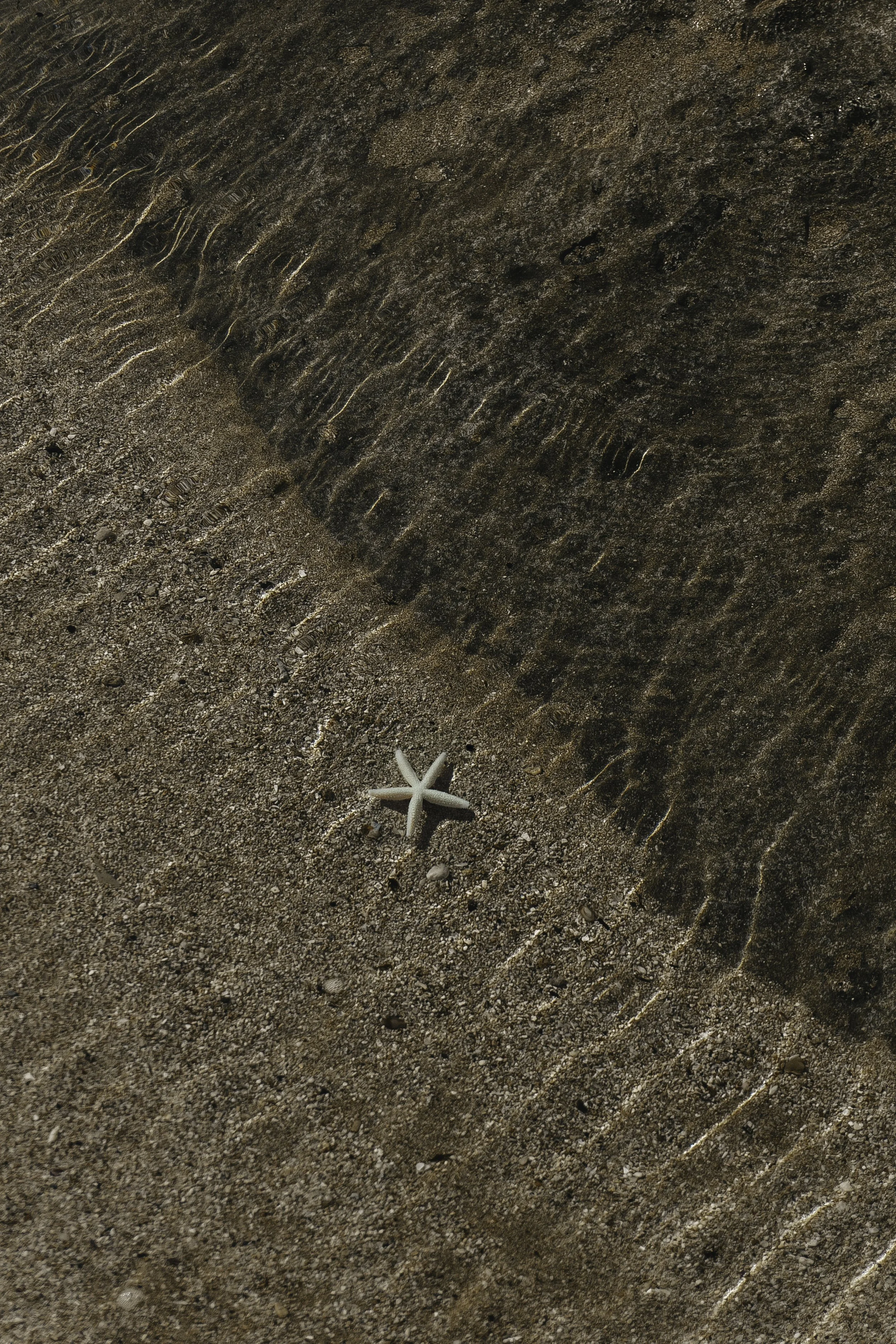 DSC05494-Edit.jpg
