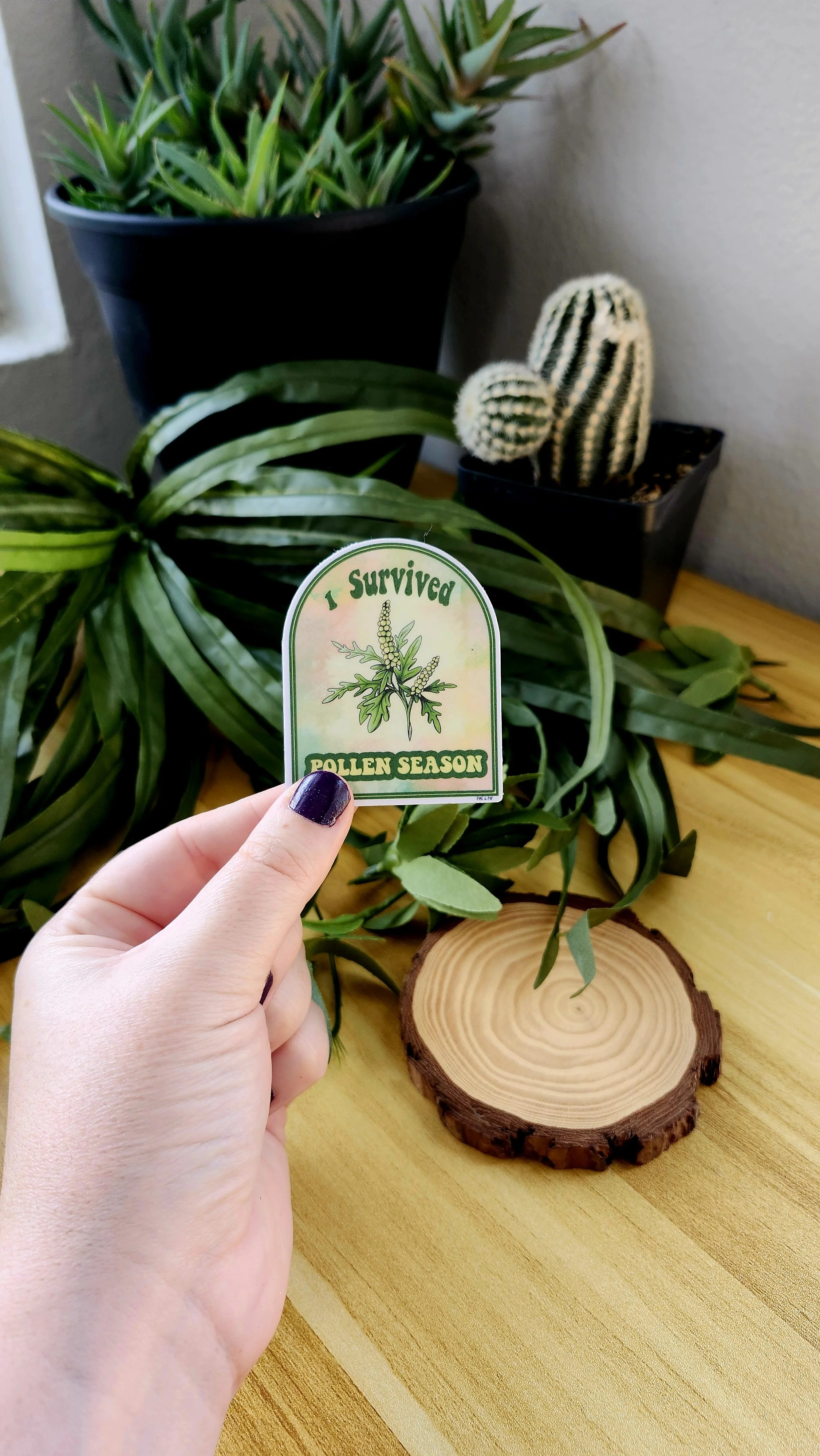 a hand holding the arch shaped I survived pollen season sticker