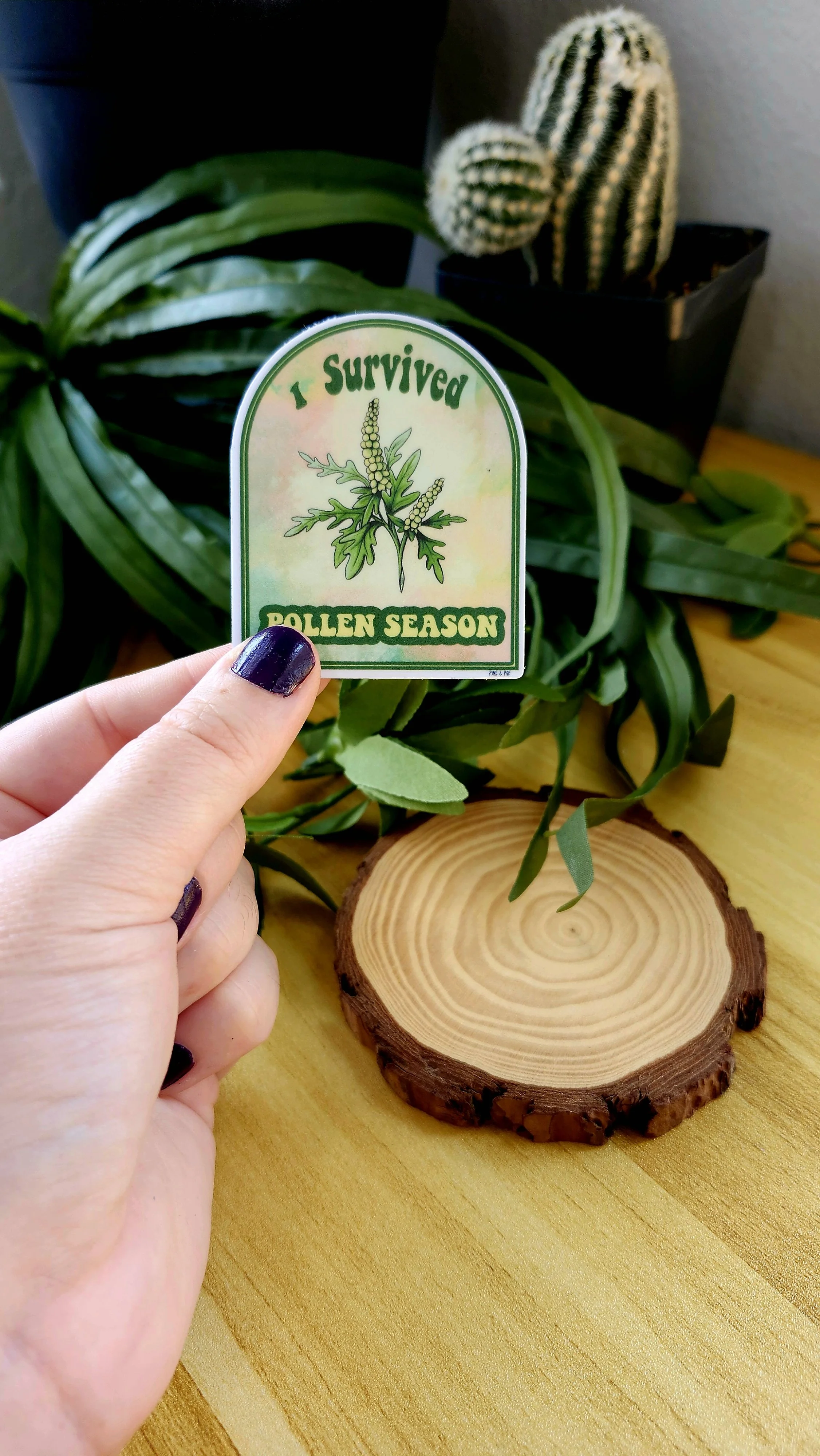 I Survived Pollen Season Sticker (Ragweed)