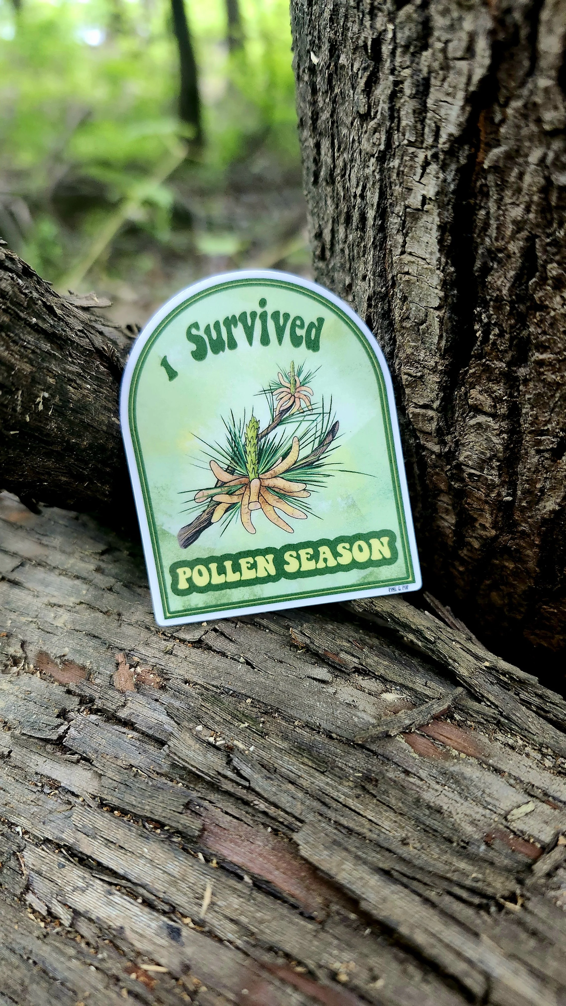 I Survived Pollen Season Sticker (Pine)