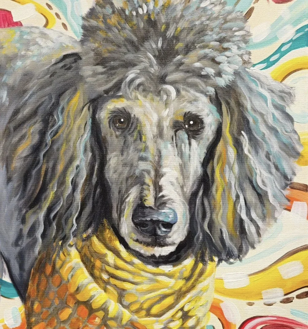 Colorful Poodle Pet Potrait