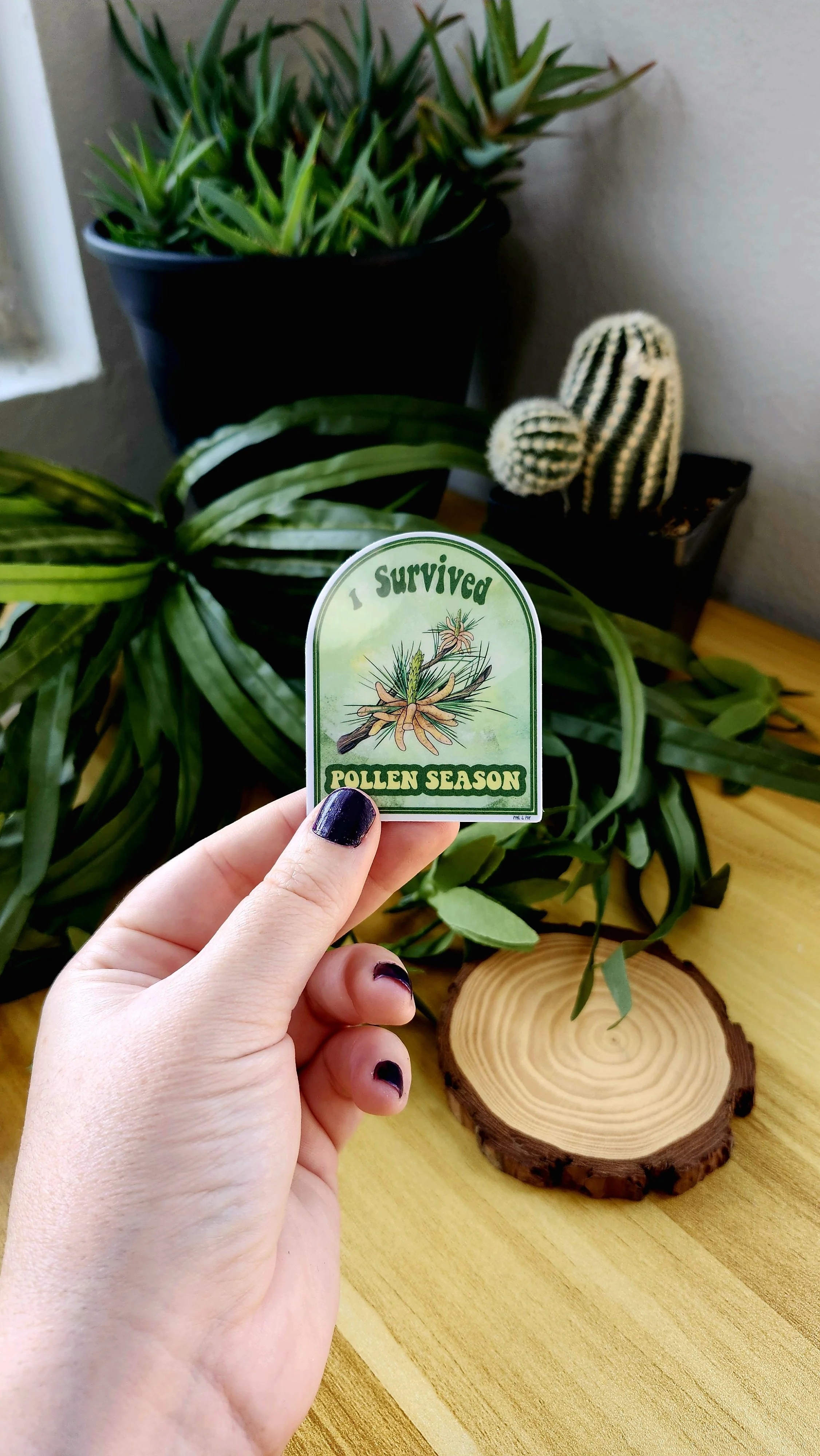 another view of a hand holding the arch shaped I Survived Pollen Season sticker