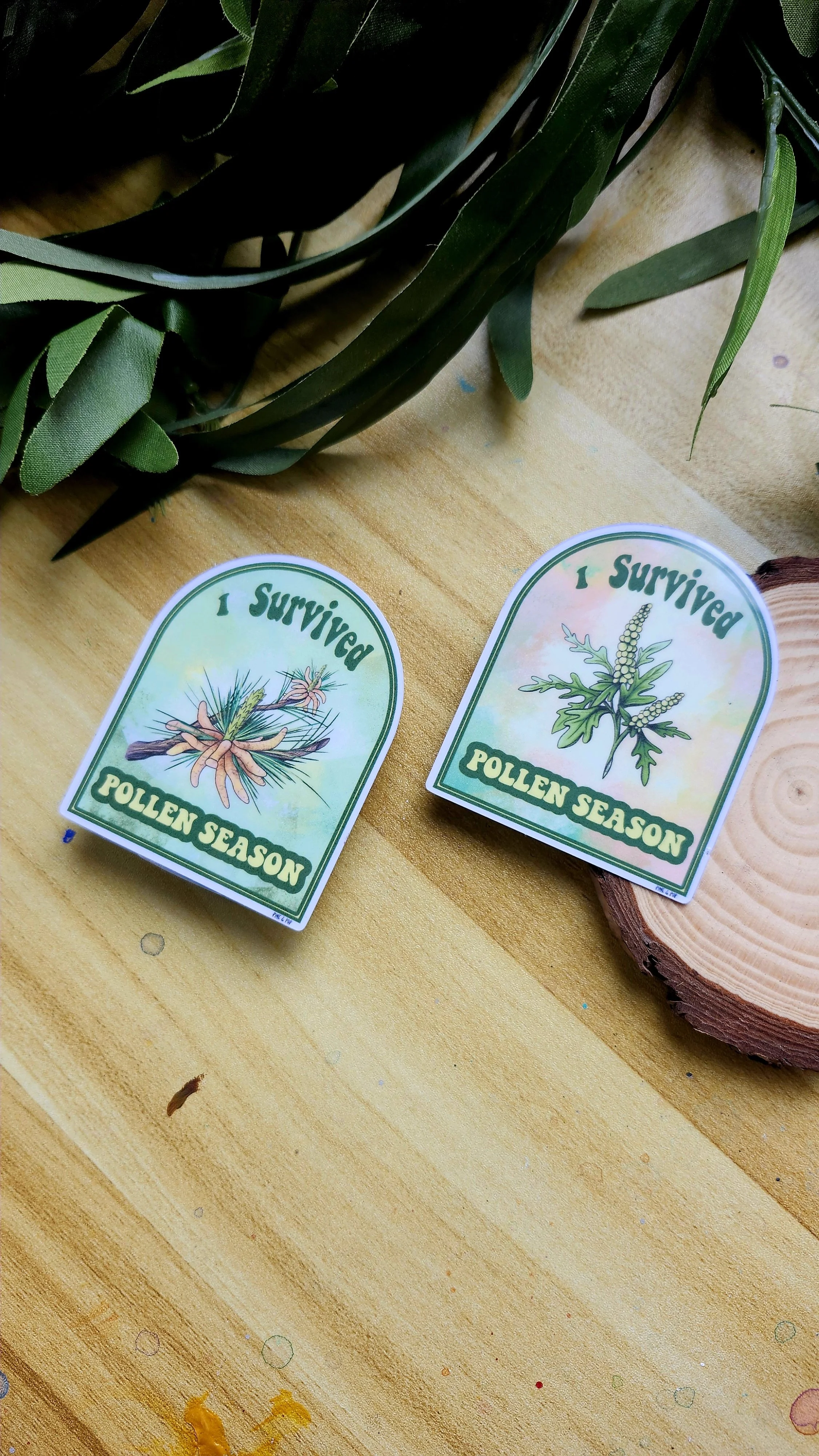 2 stickers, both the pine and ragweed versions of the I survived pollen sticker, laying on the wooden table