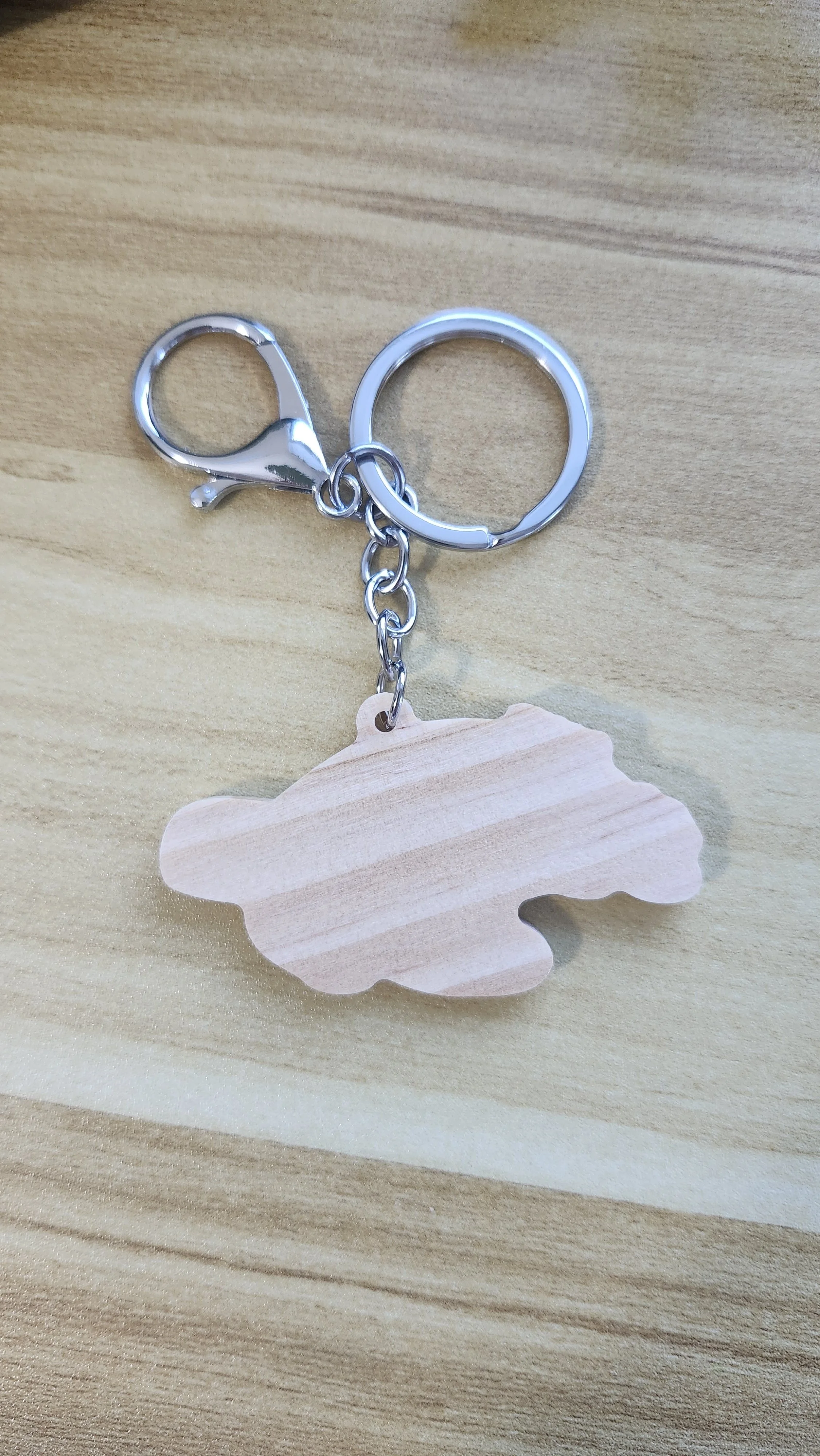 plain wooden backside of loogerhead sea turtle wooden keychain