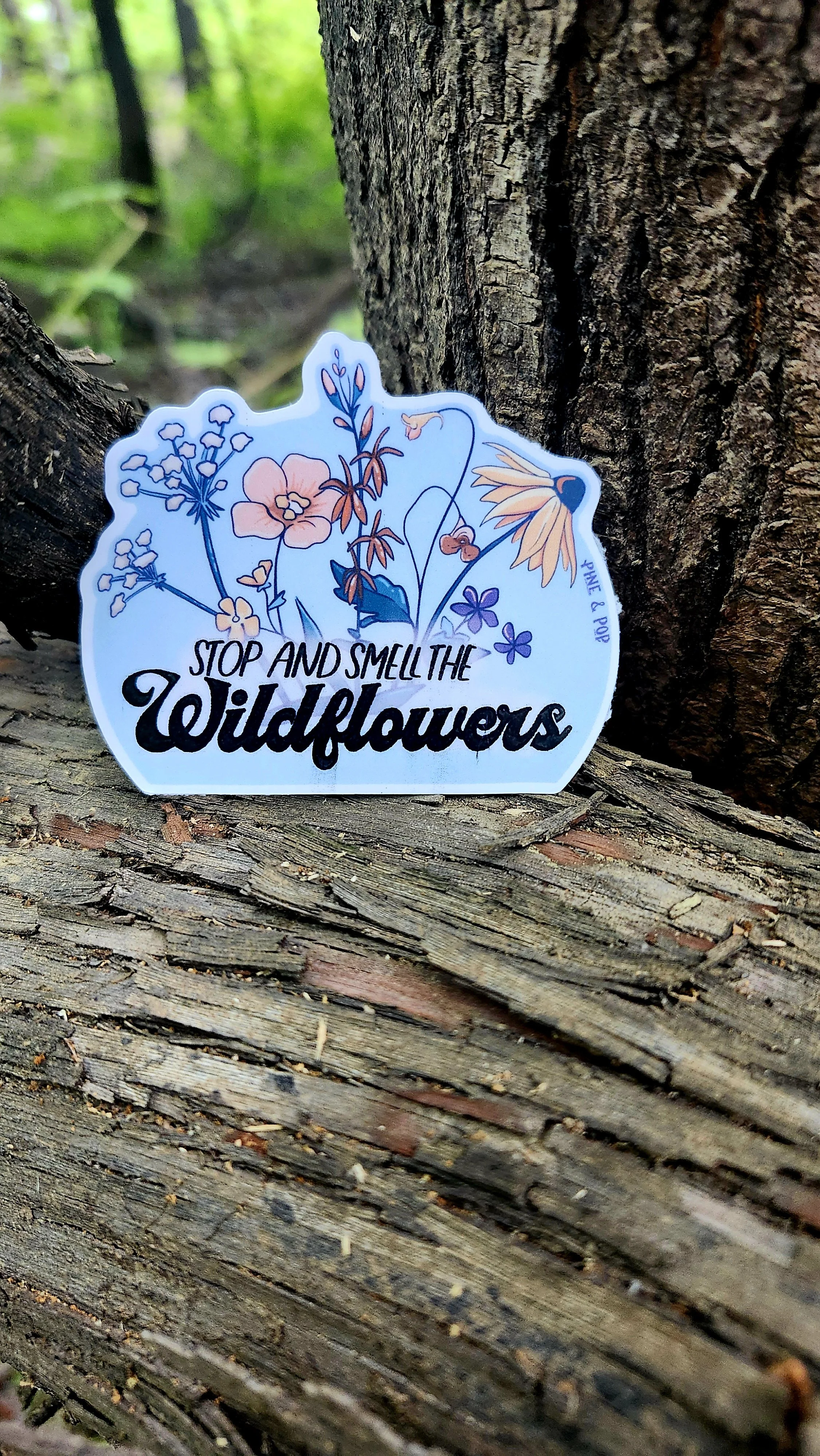 Sticker with a light blue background depicting various wildflower species found in North Carolina and the phrase Stop and Smell the Wildflowers written near the bottom.