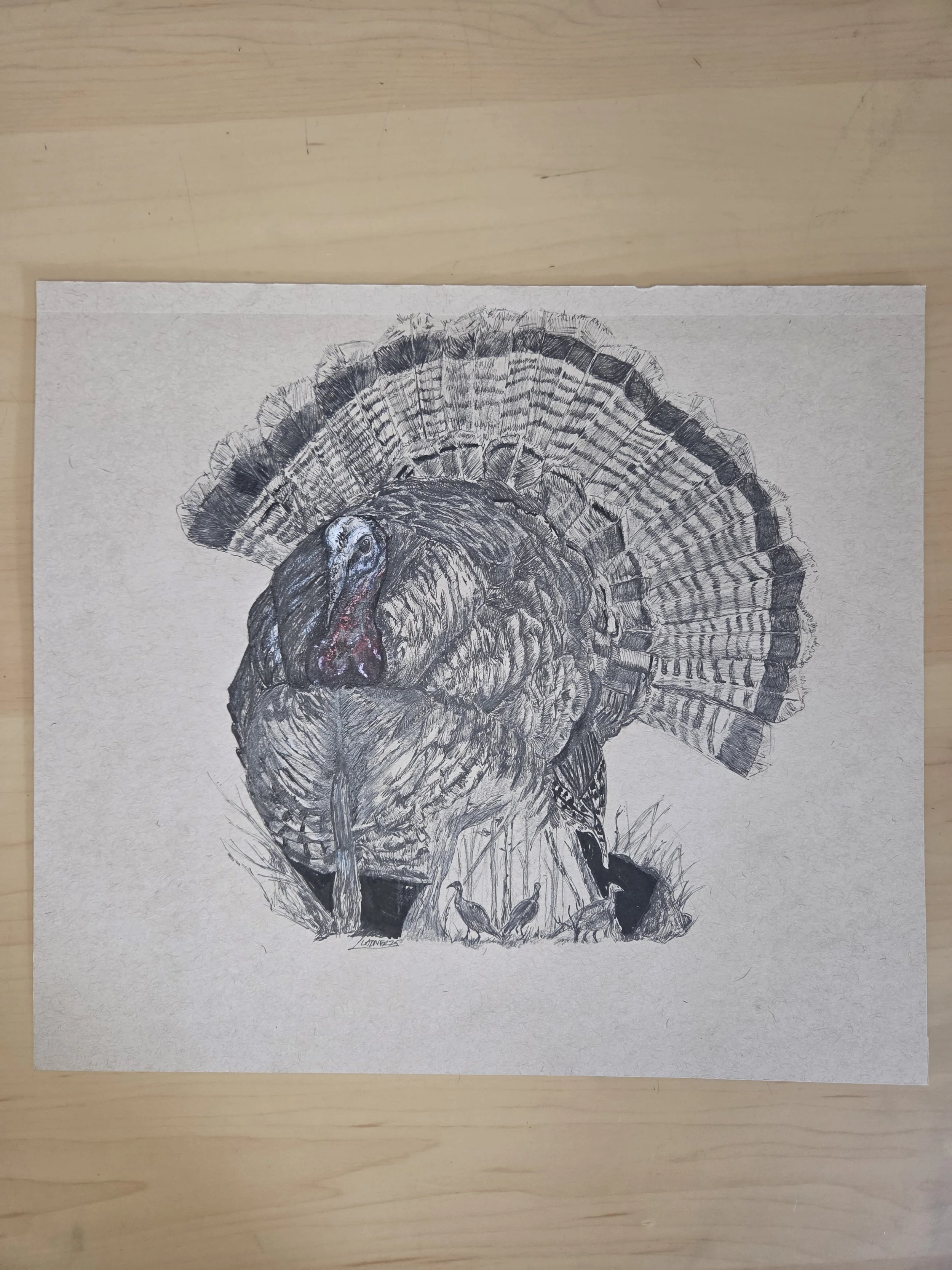 "Uncle Tom" Original Turkey Drawing