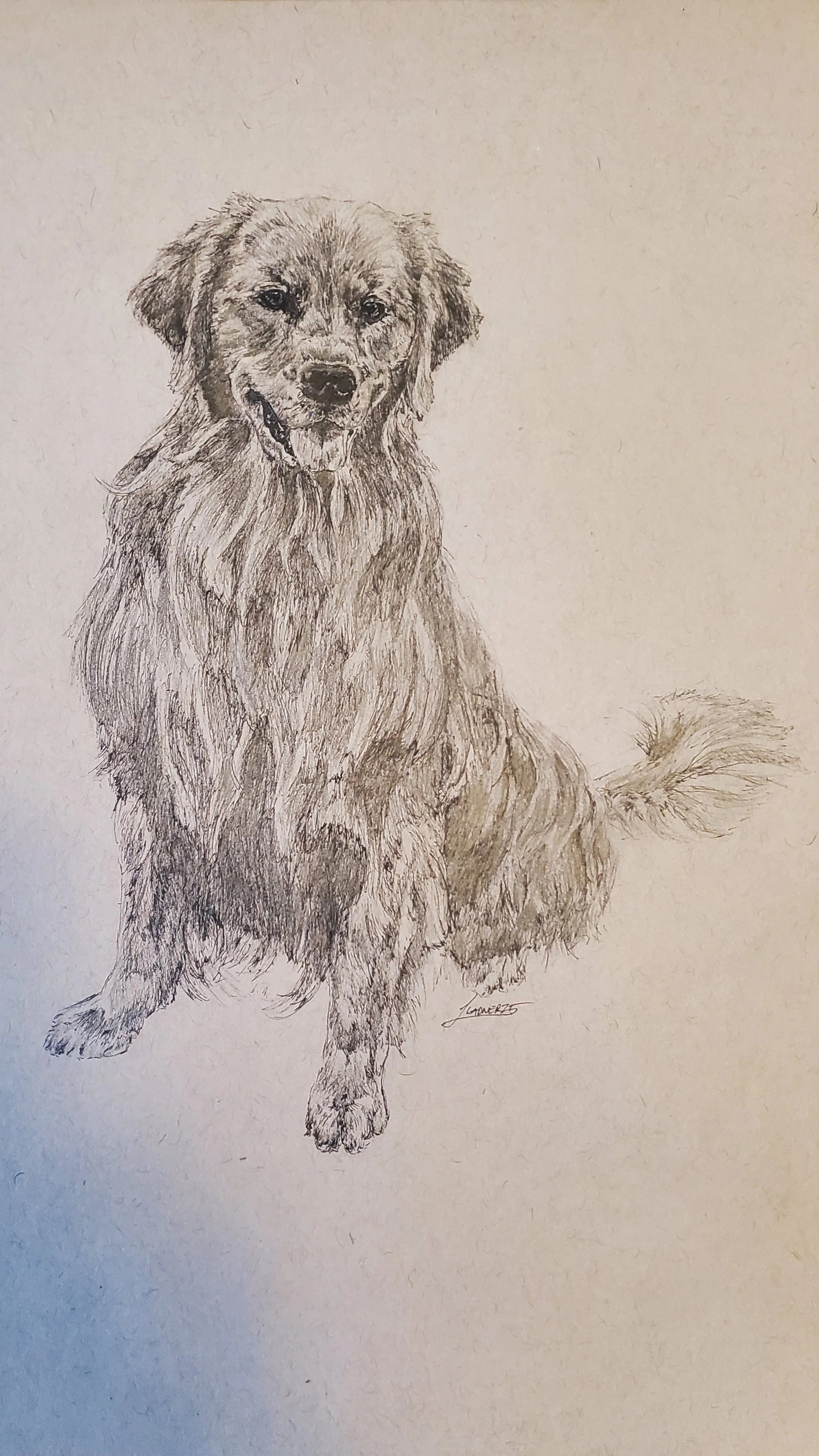 "Luna", Pen and Ink with Graphite, 8 in x 10 in, 2025