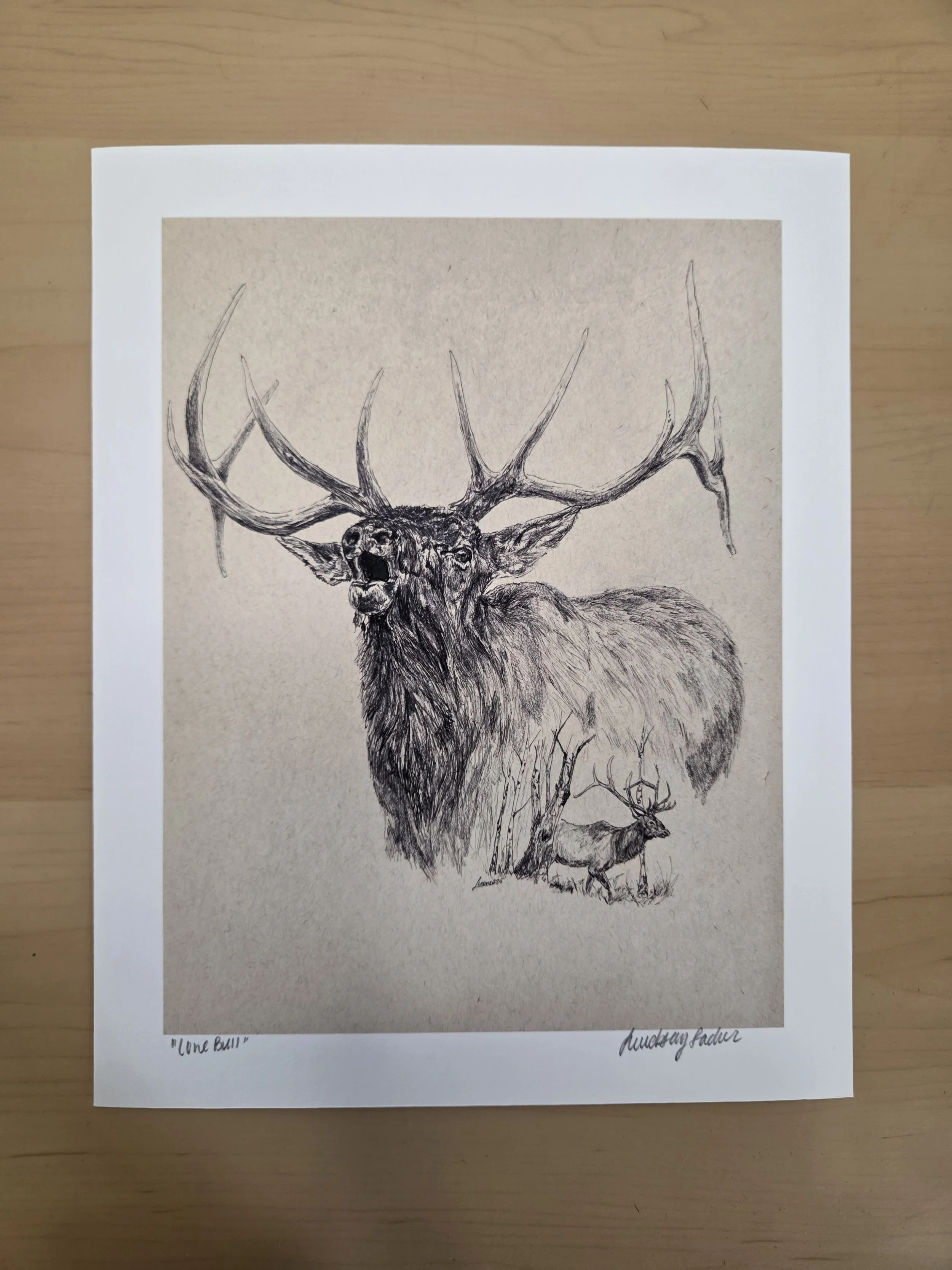 "Lone Bull" Glicee