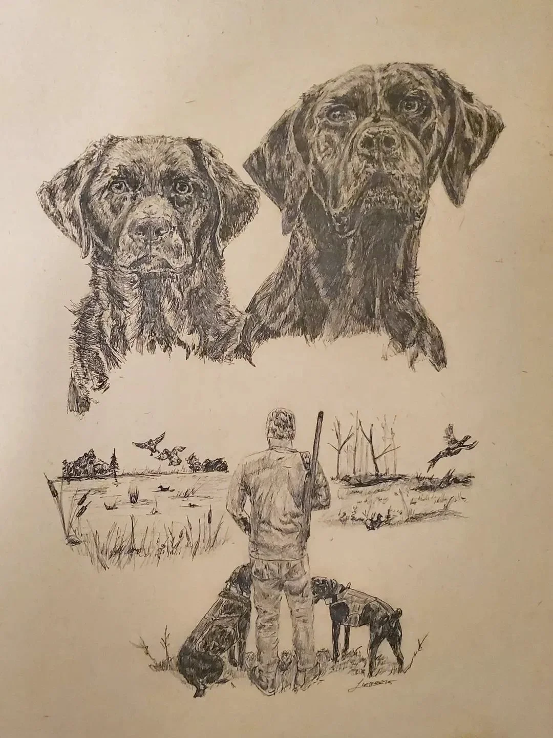 Benelli and Shadow