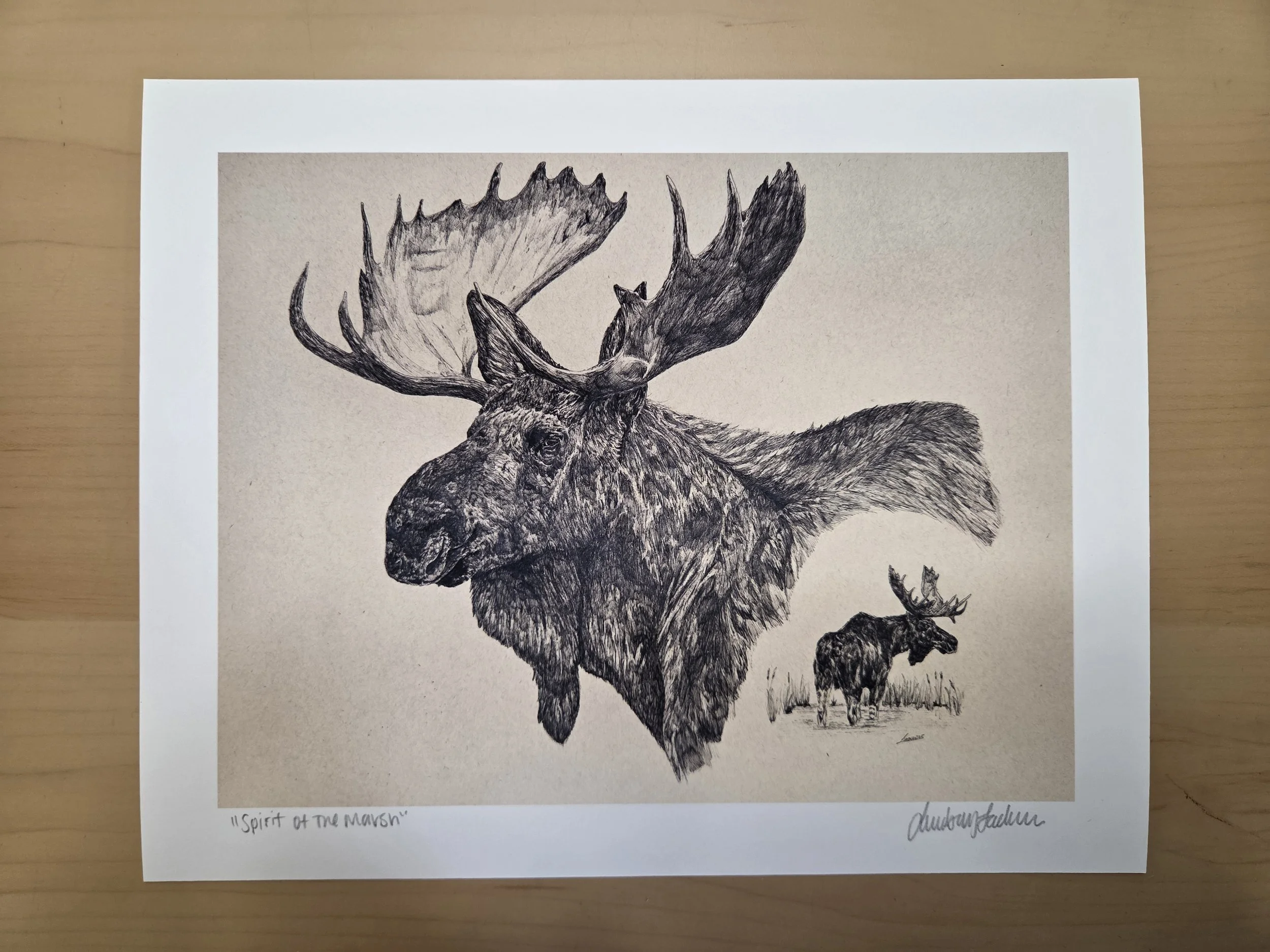 "Spirit of the Marsh" Moose Glicee