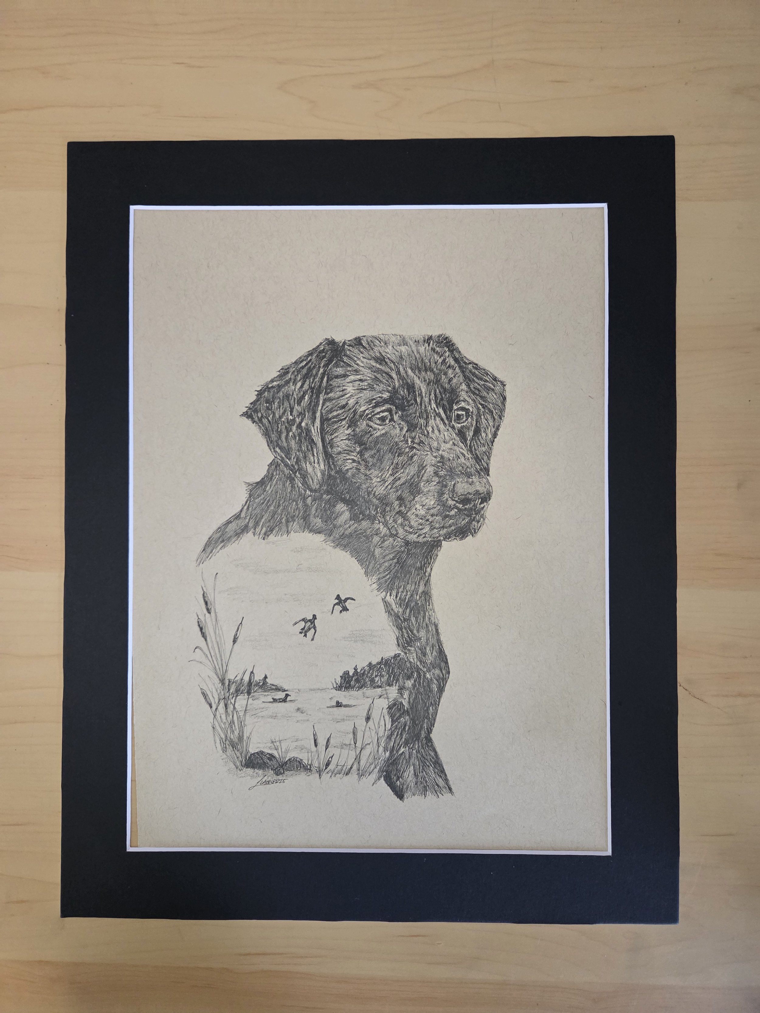 "Lab Work" Original Labrador Retriever Drawing