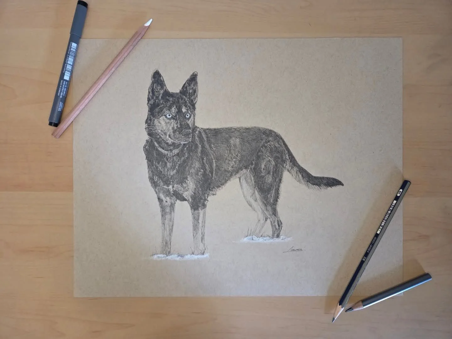 "Kaia" Canine Pet Commission